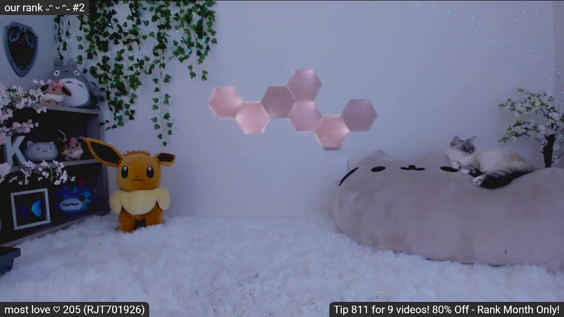 Gallery image thumbnail from Kitty's myfreecams stream on, 02/01/2023, 04:13 image 6 of 20