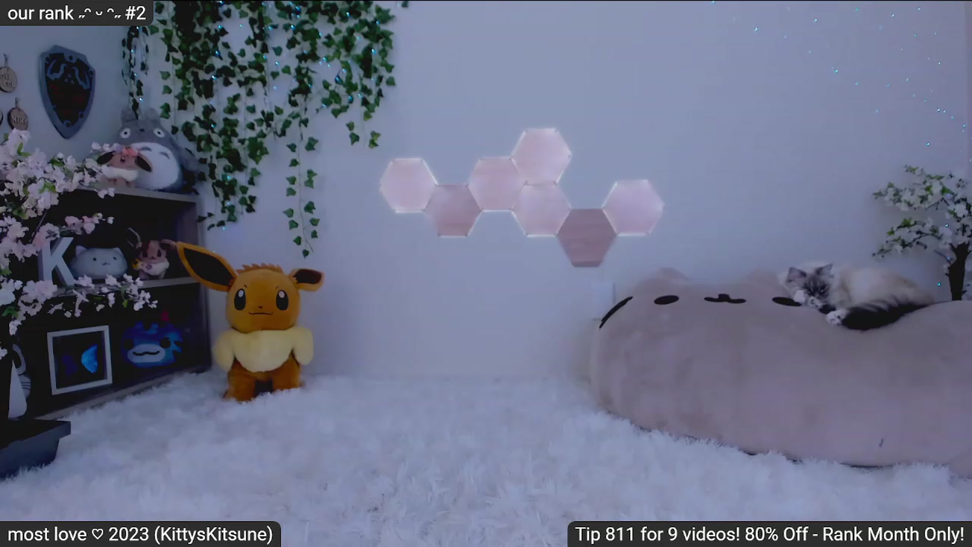 Gallery image thumbnail from Kitty's myfreecams stream on, 02/01/2023, 05:46 image 10 of 20