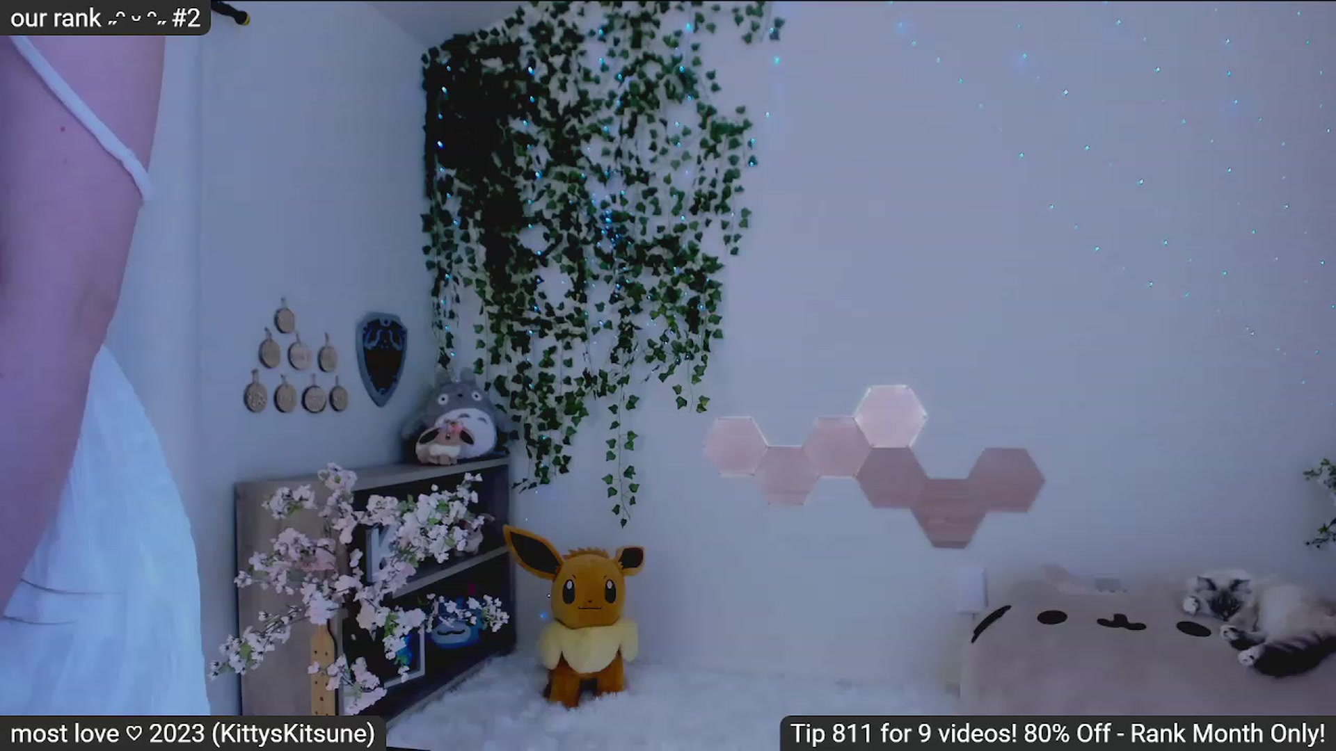 Gallery image thumbnail from Kitty's myfreecams stream on, 02/01/2023, 05:46 image 11 of 20