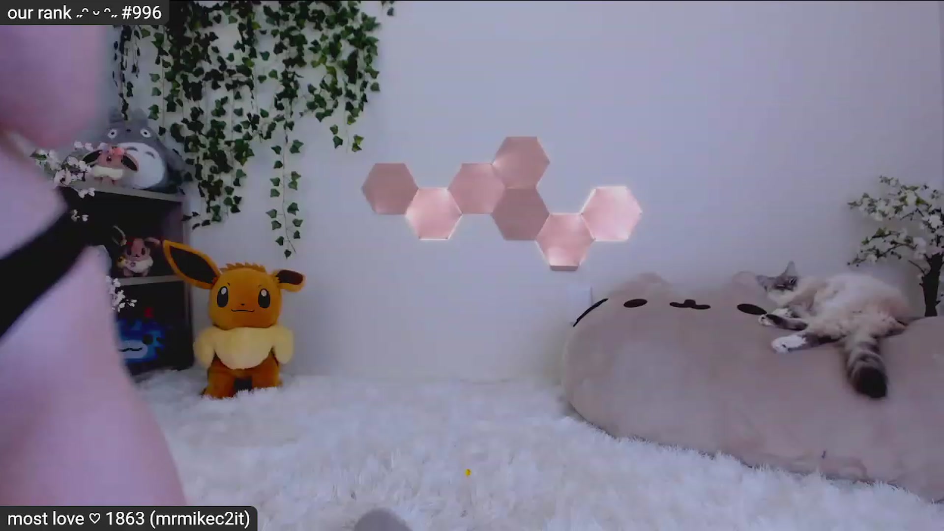 Gallery image thumbnail from Kitty's myfreecams stream on, 02/04/2023, 07:23 image 11 of 20