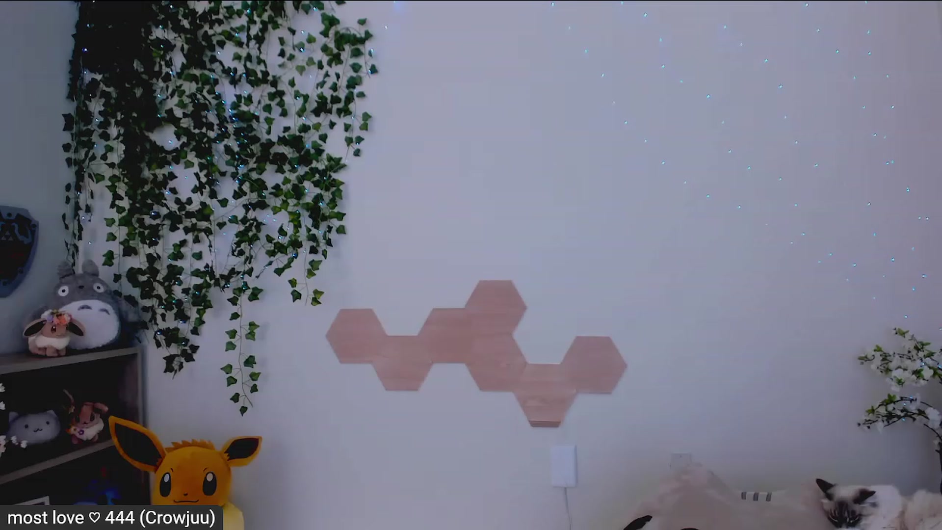 Gallery image thumbnail from Kitty's myfreecams stream on, 02/20/2023, 07:09 image 10 of 20