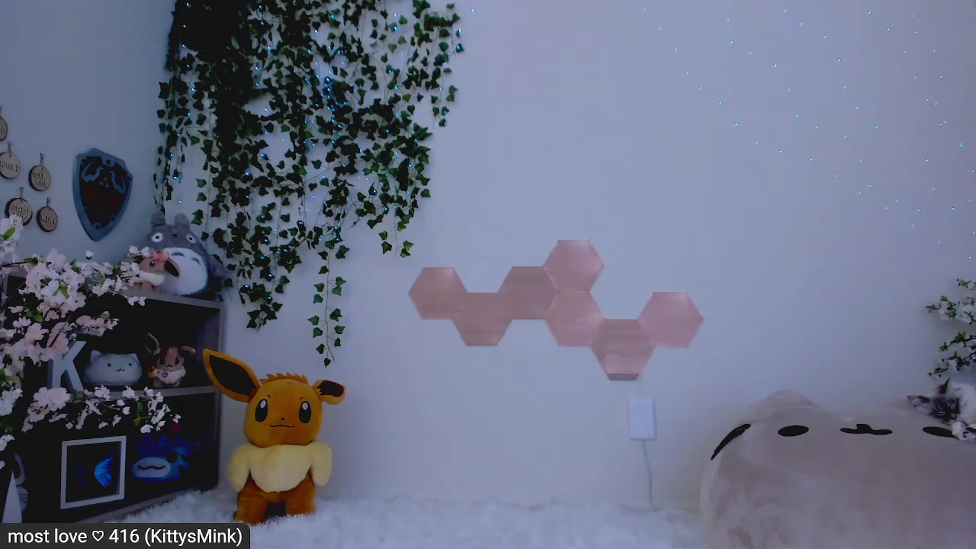Gallery image thumbnail from Kitty's myfreecams stream on, 02/21/2023, 07:29 image 4 of 20