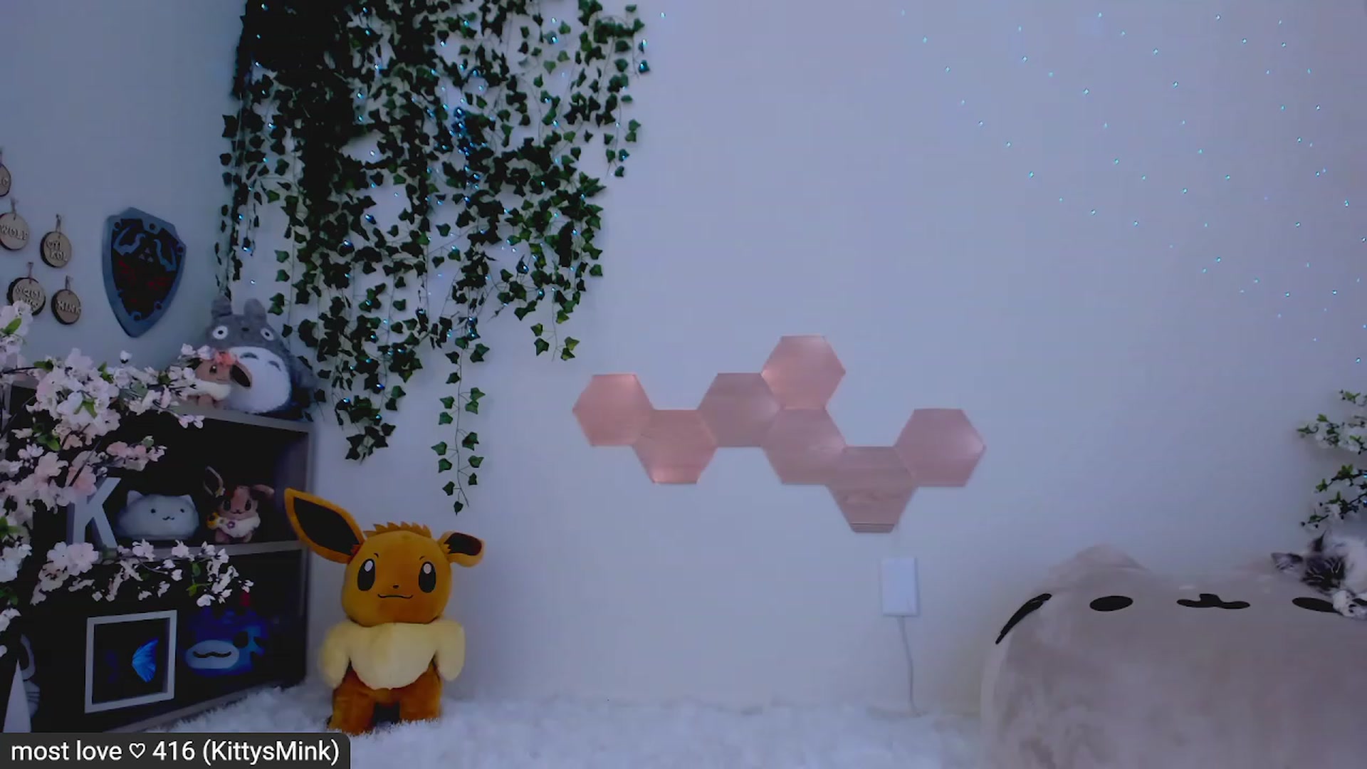 Gallery image thumbnail from Kitty's myfreecams stream on, 02/21/2023, 07:29 image 1 of 20