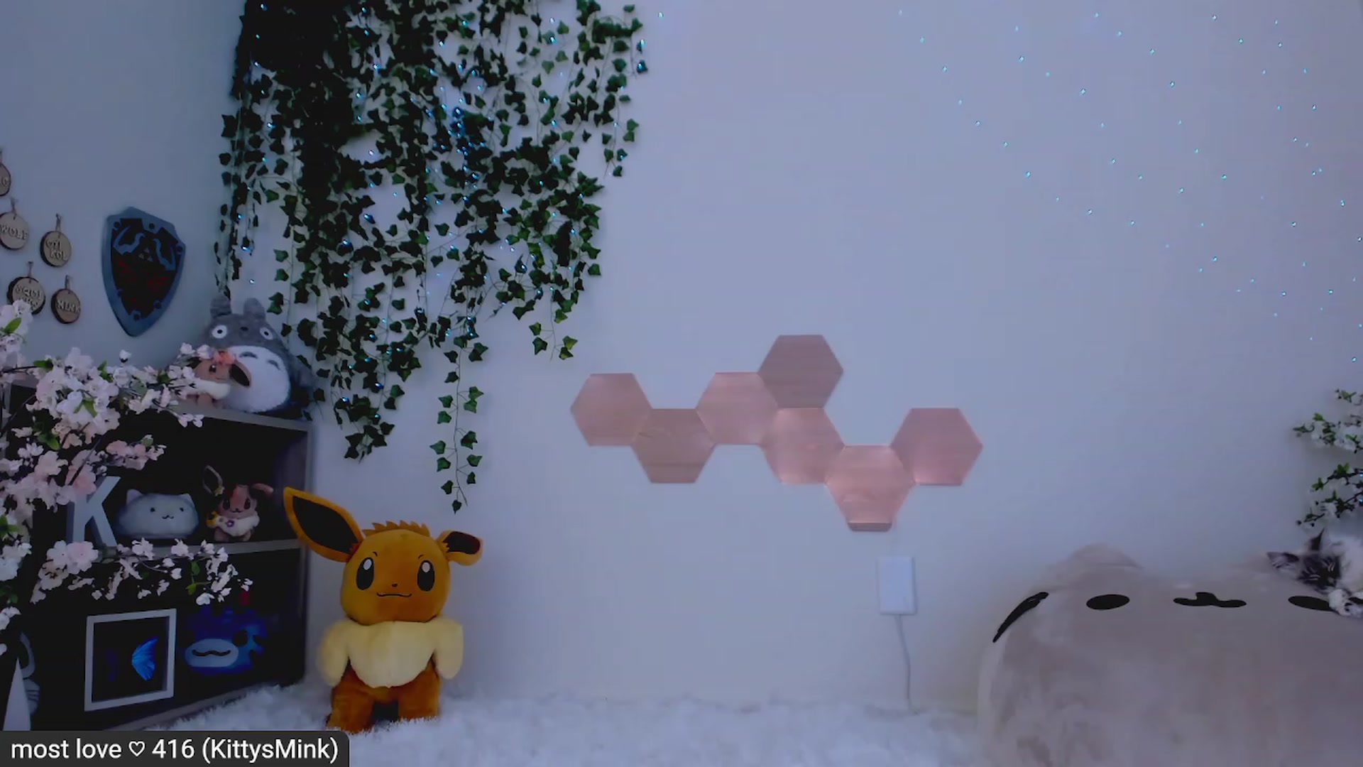 Gallery image thumbnail from Kitty's myfreecams stream on, 02/21/2023, 07:29 image 3 of 20
