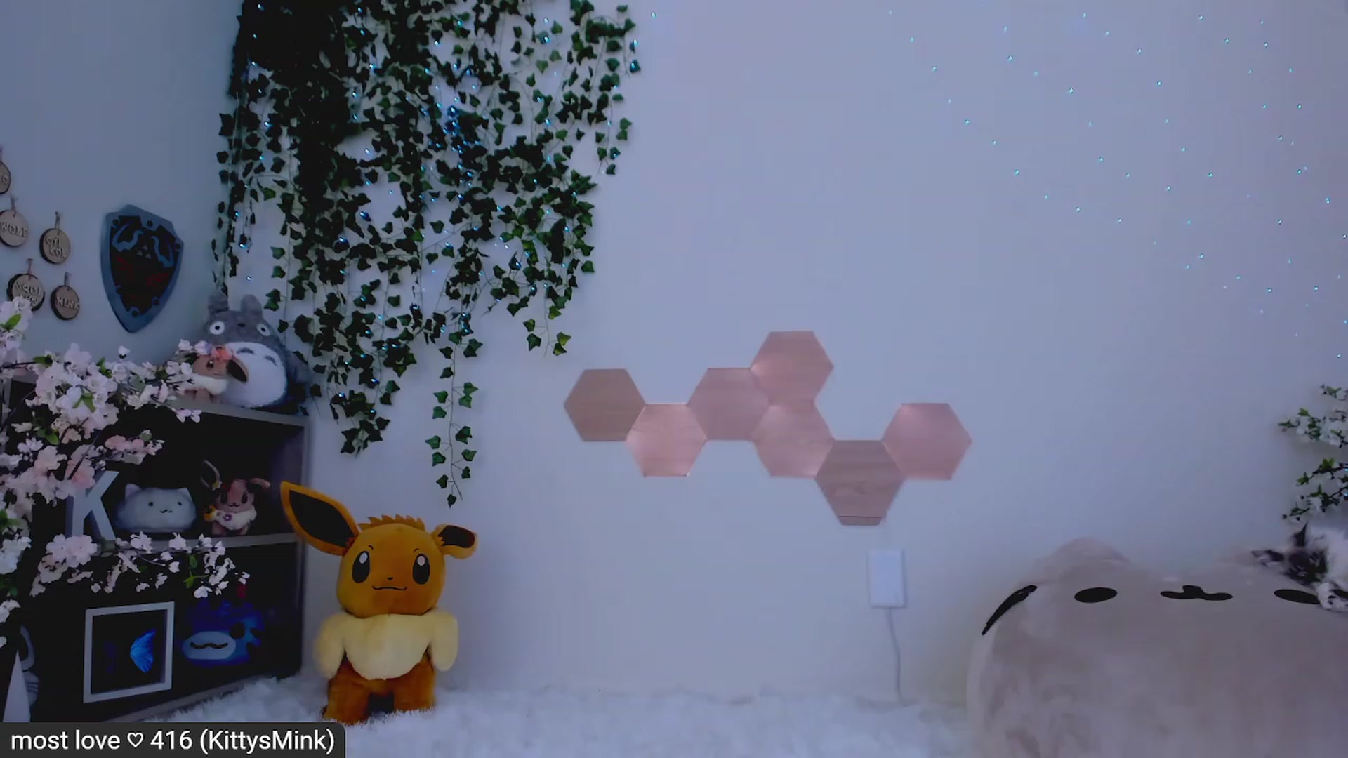 Gallery image thumbnail from Kitty's myfreecams stream on, 02/21/2023, 07:29 image 9 of 20