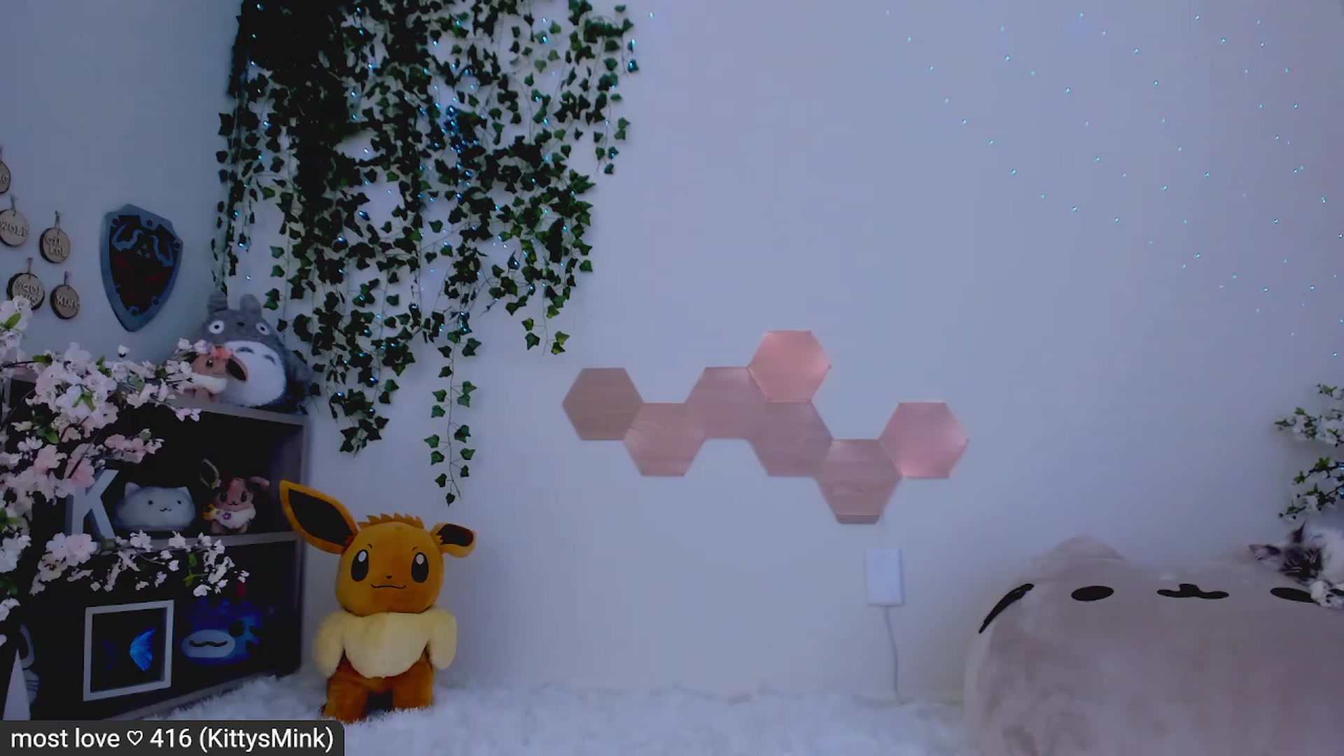 Gallery image thumbnail from Kitty's myfreecams stream on, 02/21/2023, 07:29 image 6 of 20