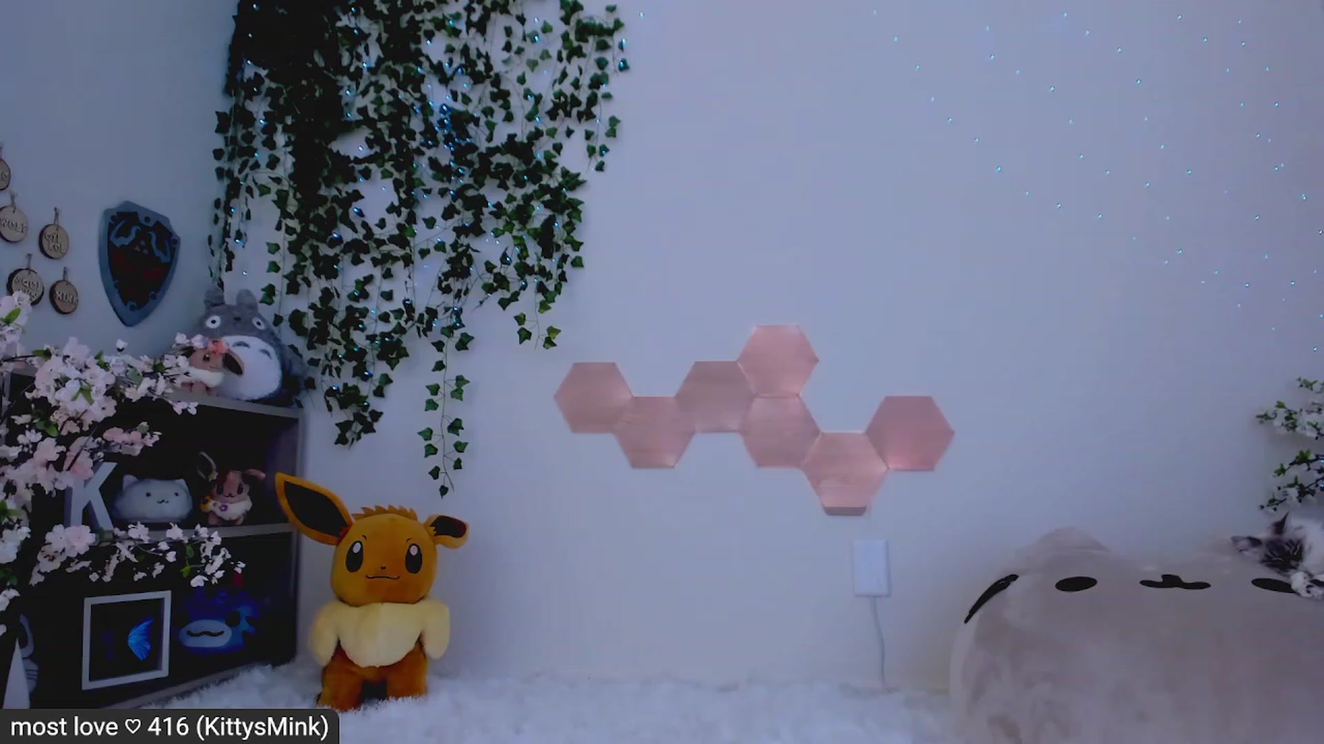 Gallery image thumbnail from Kitty's myfreecams stream on, 02/21/2023, 07:29 image 7 of 20