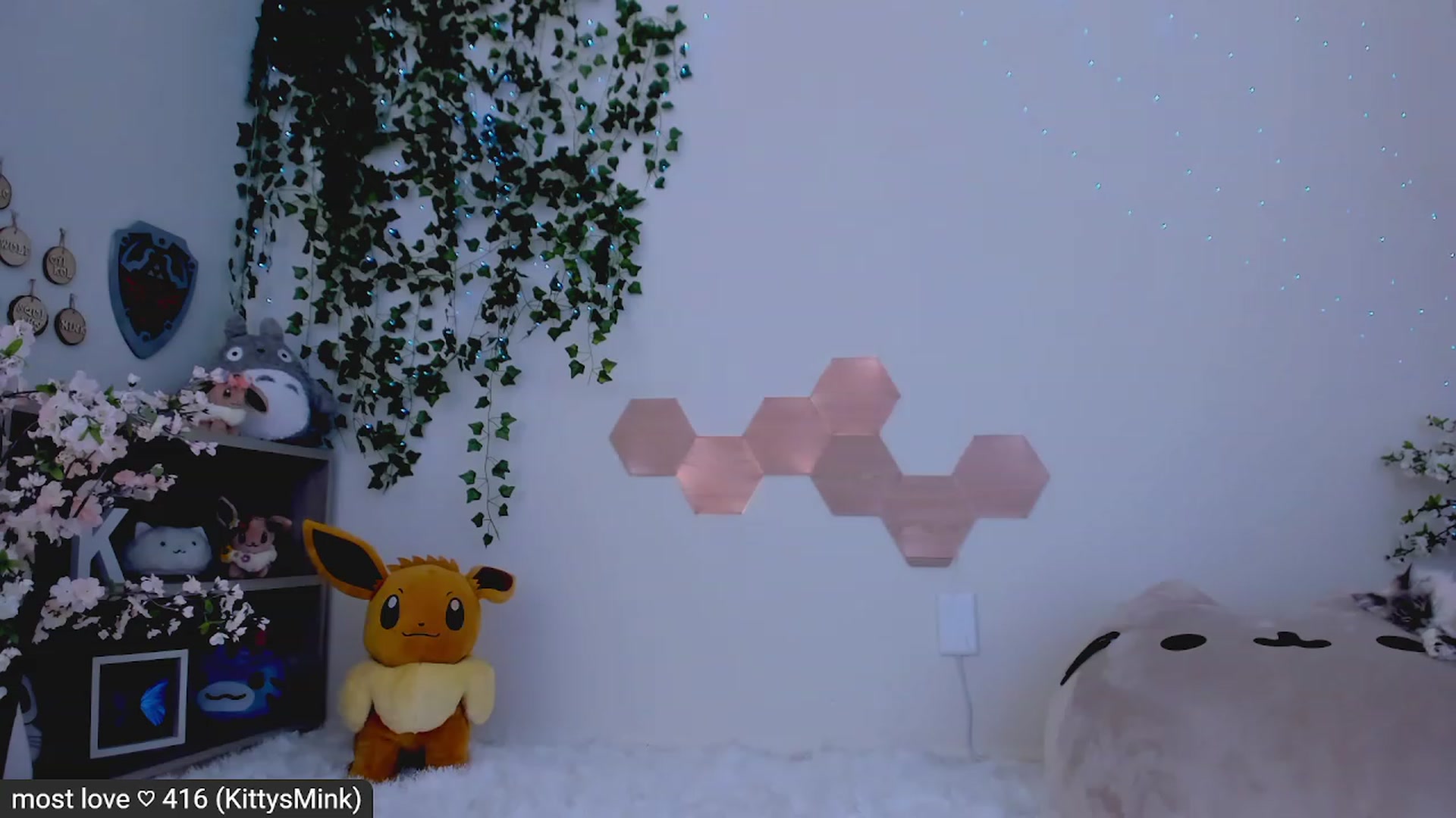 Gallery image thumbnail from Kitty's myfreecams stream on, 02/21/2023, 07:29 image 8 of 20