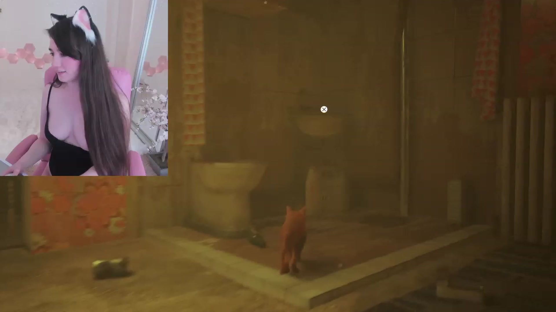 Gallery image thumbnail from Kitty's myfreecams stream on, 02/25/2023, 07:41 image 7 of 20