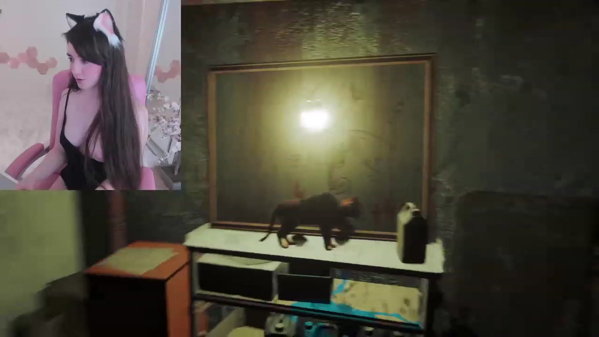 Gallery image thumbnail from Kitty's myfreecams stream on, 02/25/2023, 07:41 image 9 of 20