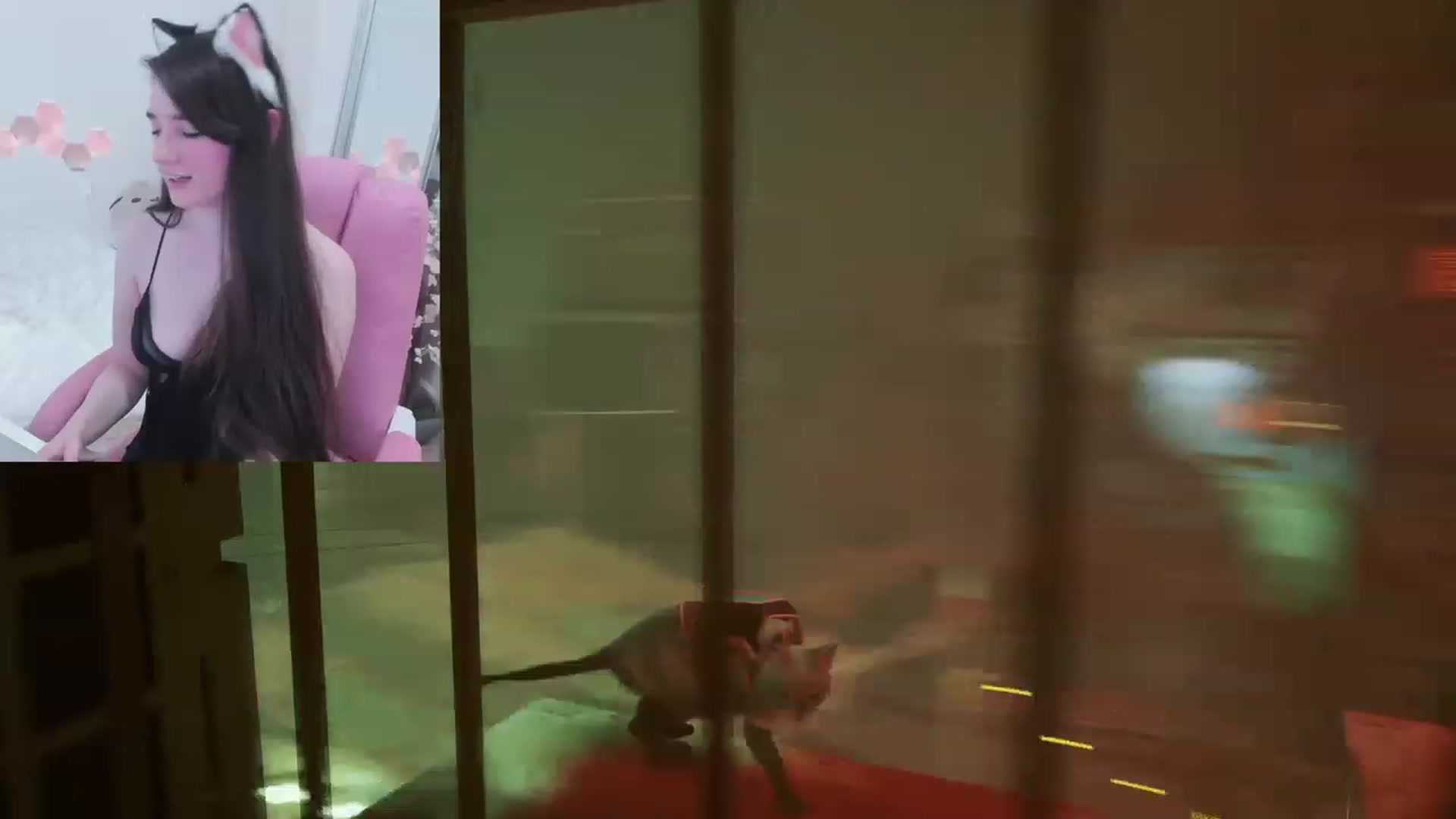Gallery image thumbnail from Kitty's myfreecams stream on, 02/26/2023, 06:39 image 15 of 20