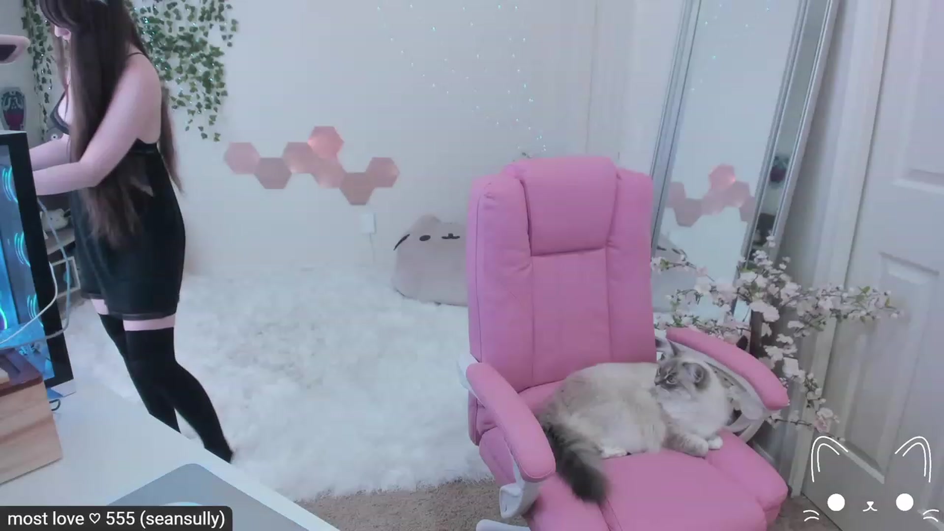 Gallery image thumbnail from Kitty's myfreecams stream on, 02/26/2023, 06:39 image 12 of 20
