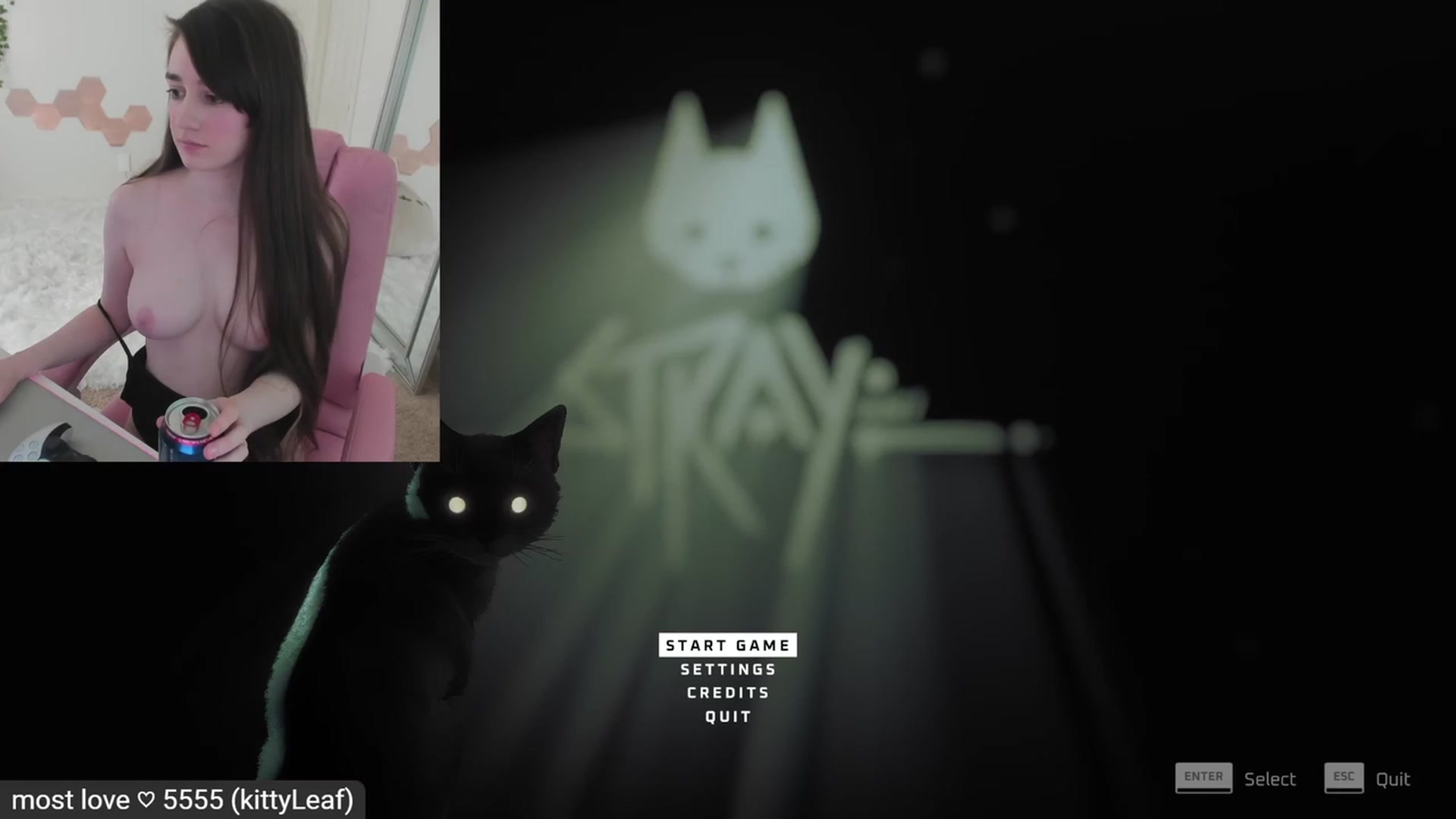 Gallery image thumbnail from Kitty's myfreecams stream on, 03/01/2023, 08:47 image 3 of 20