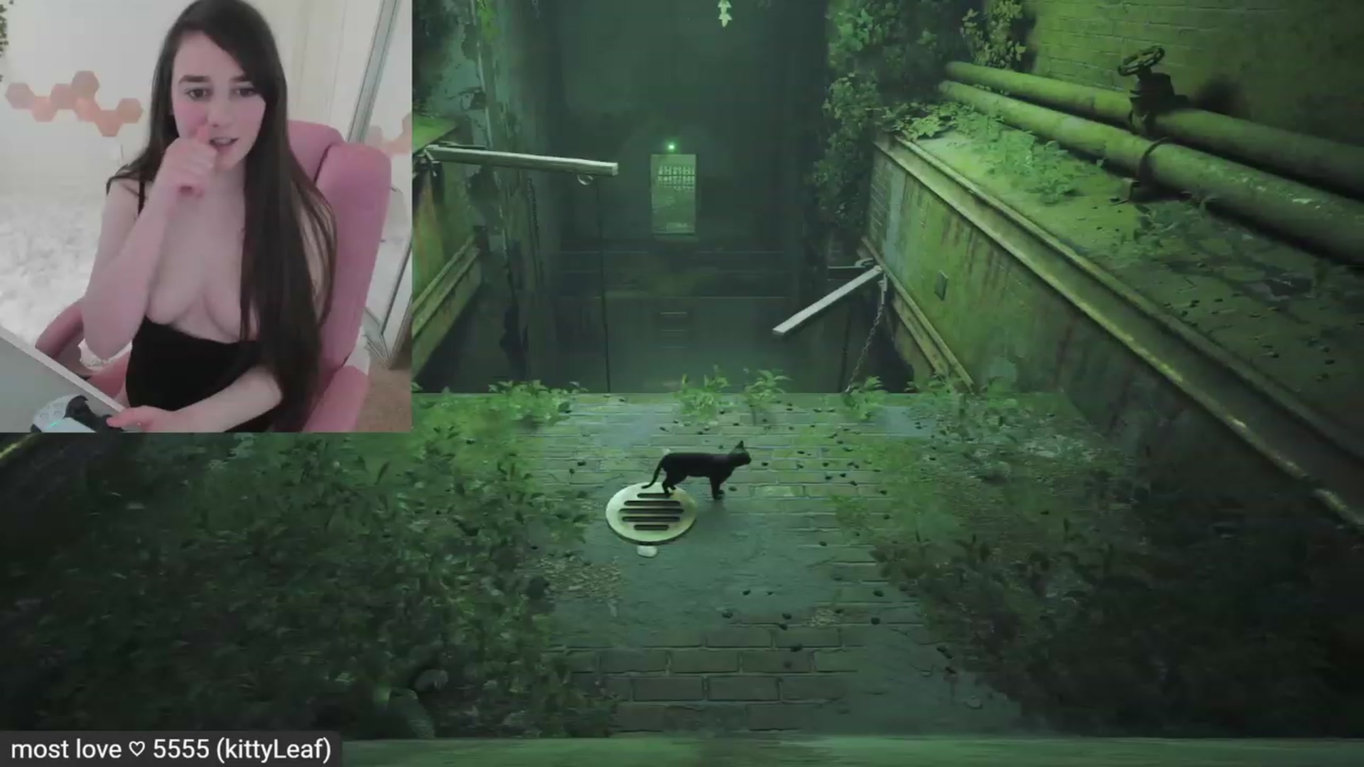 Gallery image thumbnail from Kitty's myfreecams stream on, 03/01/2023, 08:47 image 4 of 20