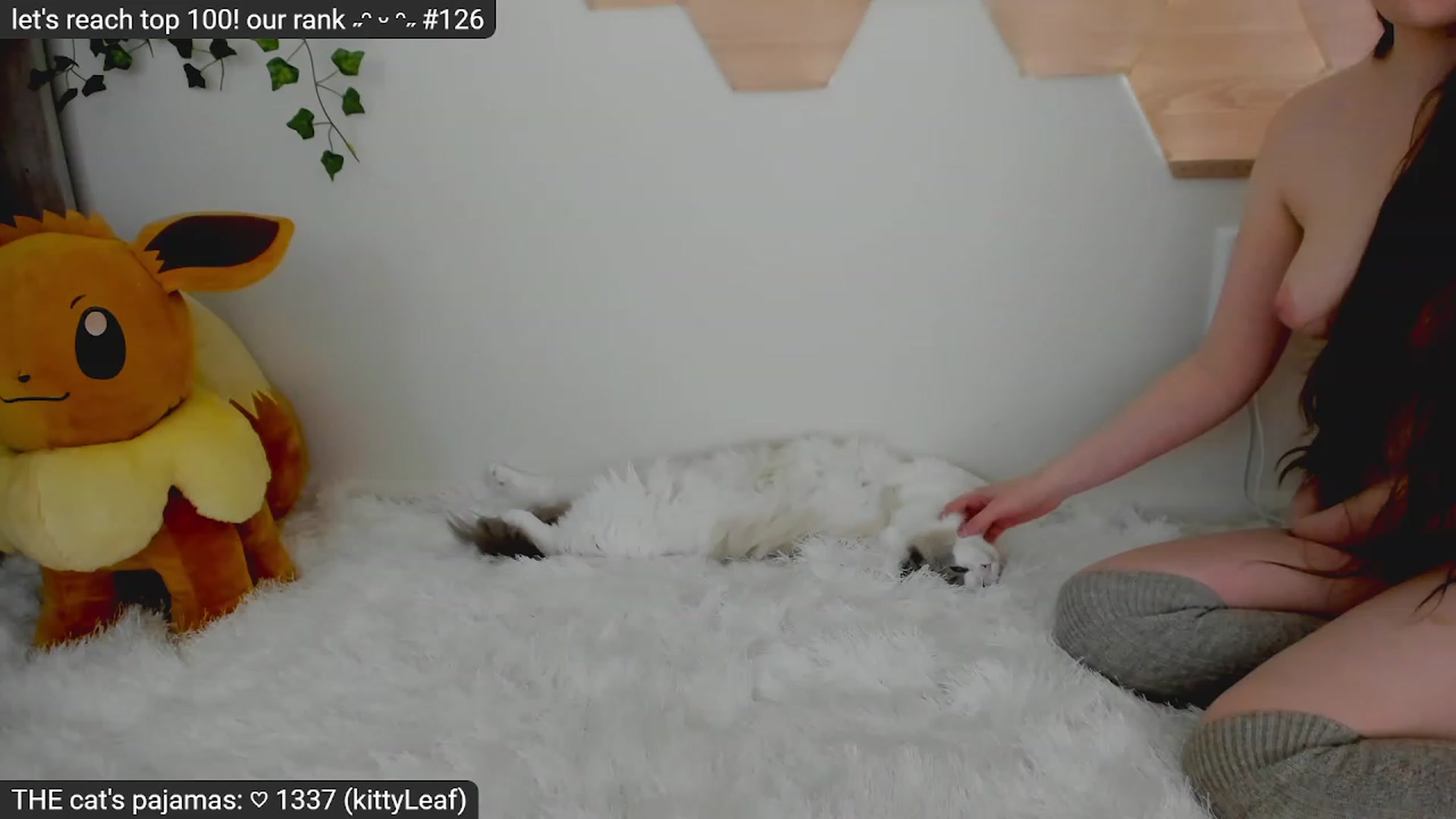 Gallery image thumbnail from Kitty's myfreecams stream on, 03/17/2023, 05:57 image 5 of 20