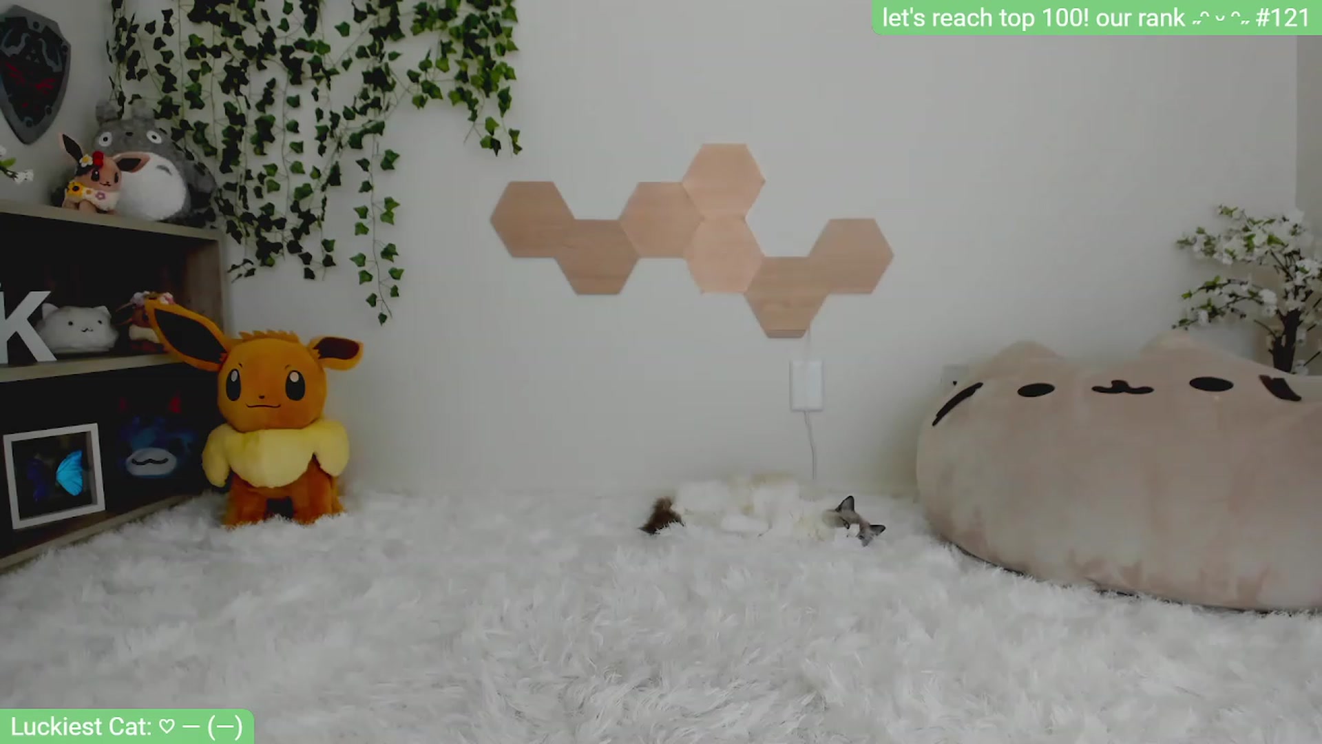 Gallery image thumbnail from Kitty's myfreecams stream on, 03/18/2023, 07:51 image 2 of 20