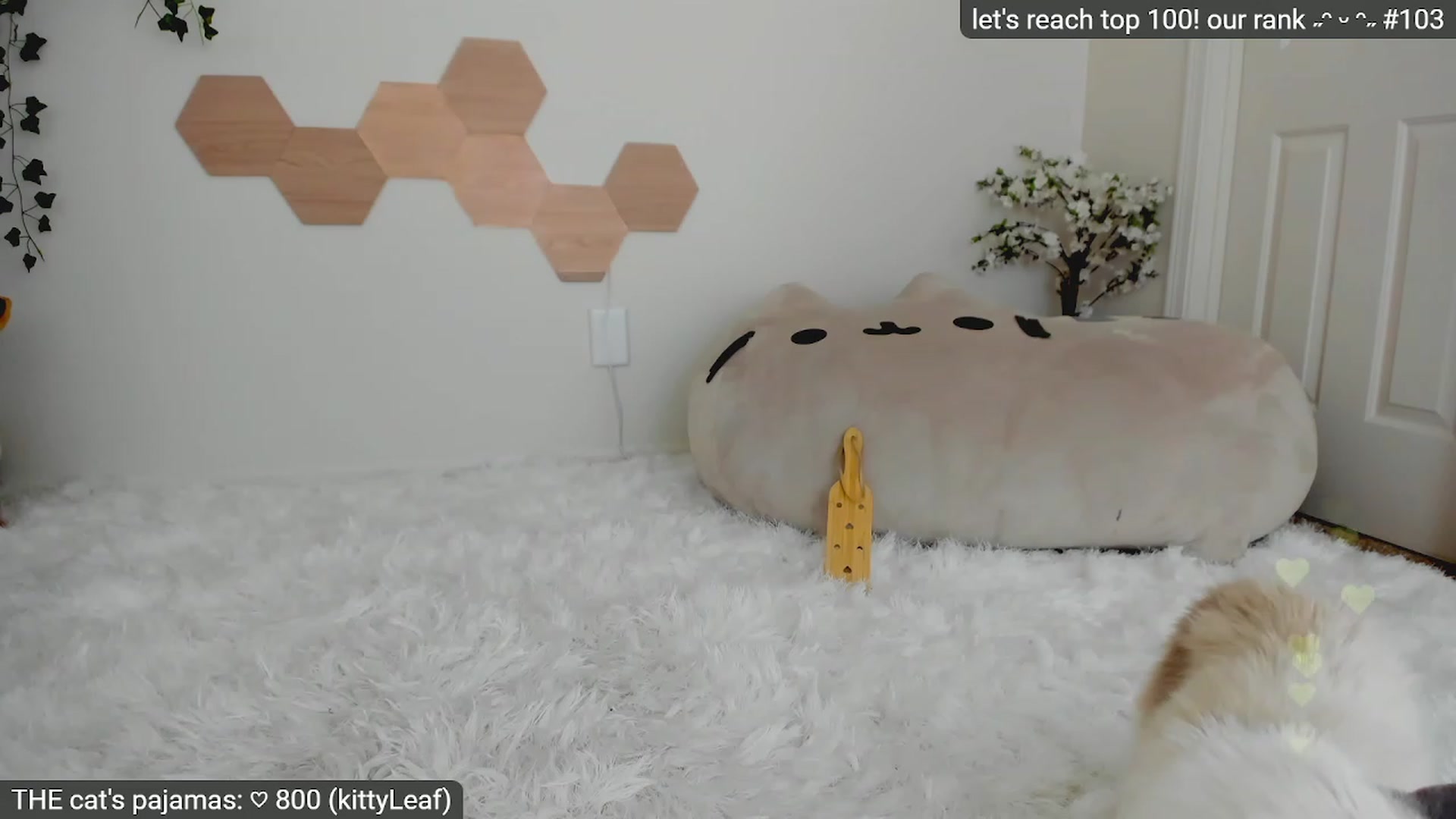 Gallery image thumbnail from Kitty's myfreecams stream on, 03/19/2023, 07:22 image 17 of 20