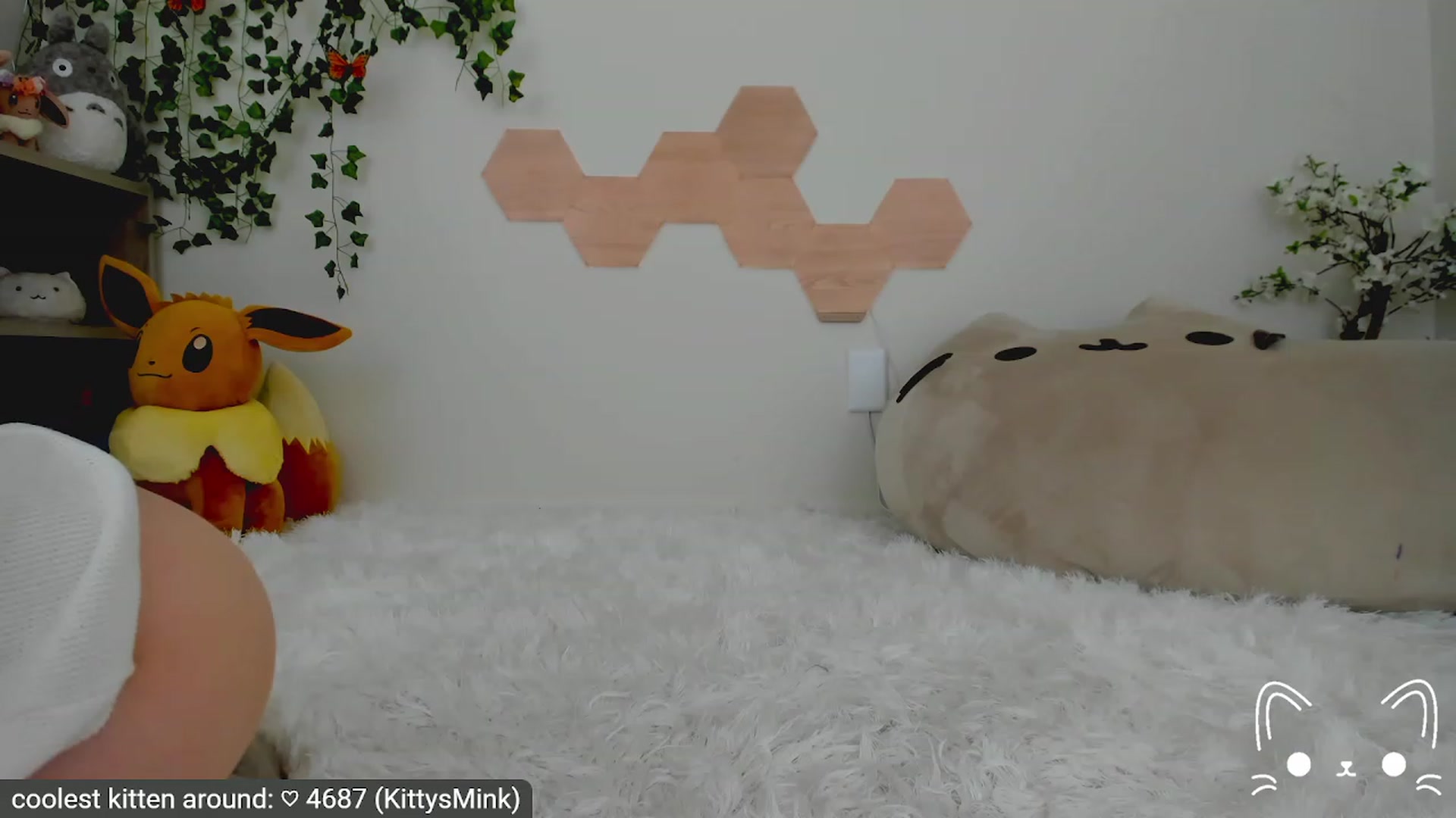 Gallery image thumbnail from Kitty's myfreecams stream on, 04/09/2023, 07:25 image 18 of 20