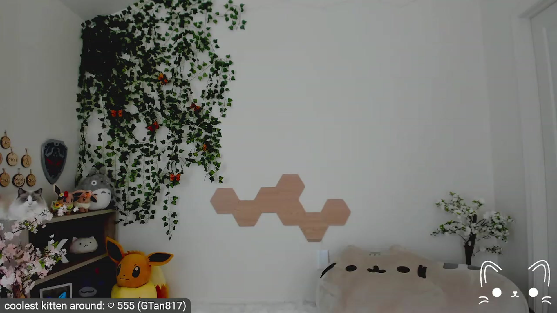 Gallery image thumbnail from Kitty's myfreecams stream on, 04/13/2023, 04:30 image 6 of 20