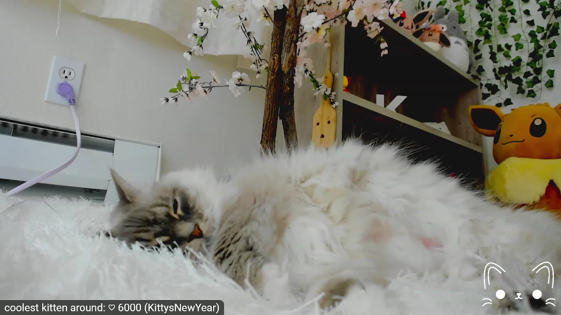 Gallery image thumbnail from Kitty's myfreecams stream on, 04/15/2023, 05:16 image 8 of 20