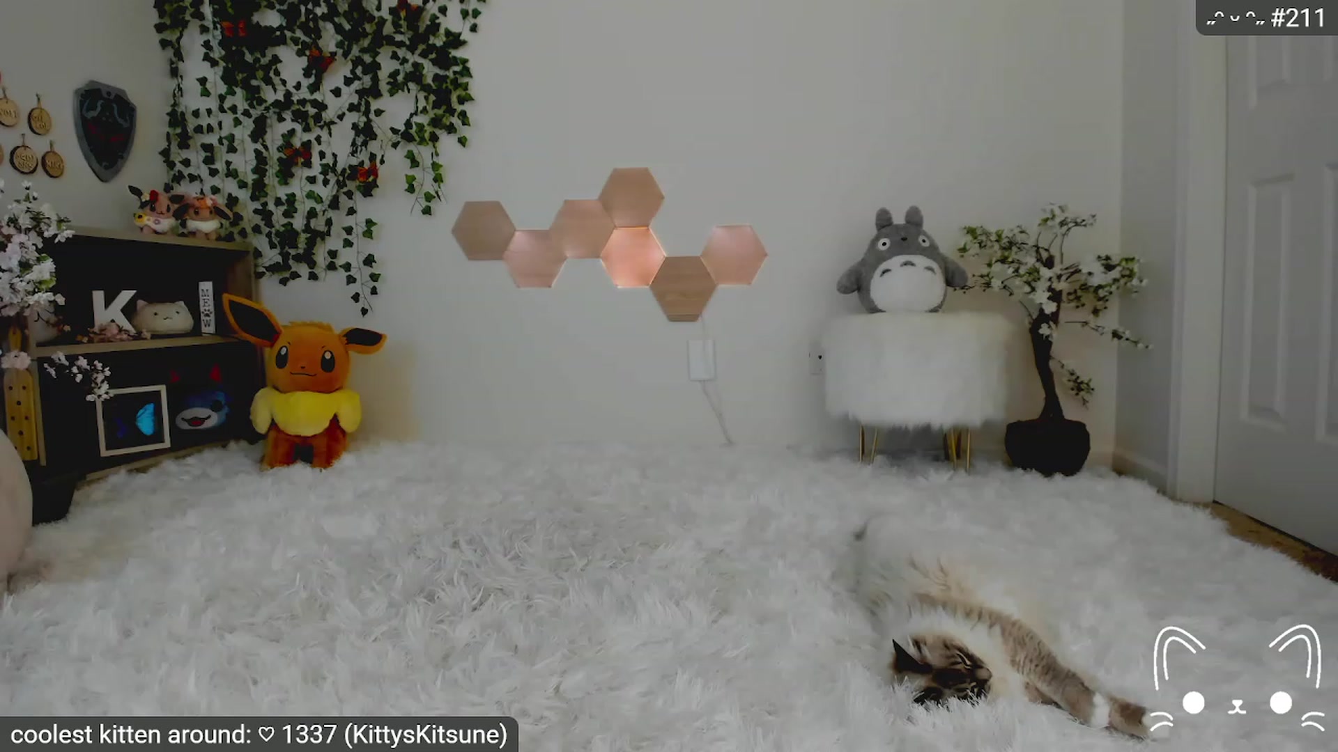 Gallery image thumbnail from Kitty's myfreecams stream on, 05/12/2023, 05:34 image 10 of 20