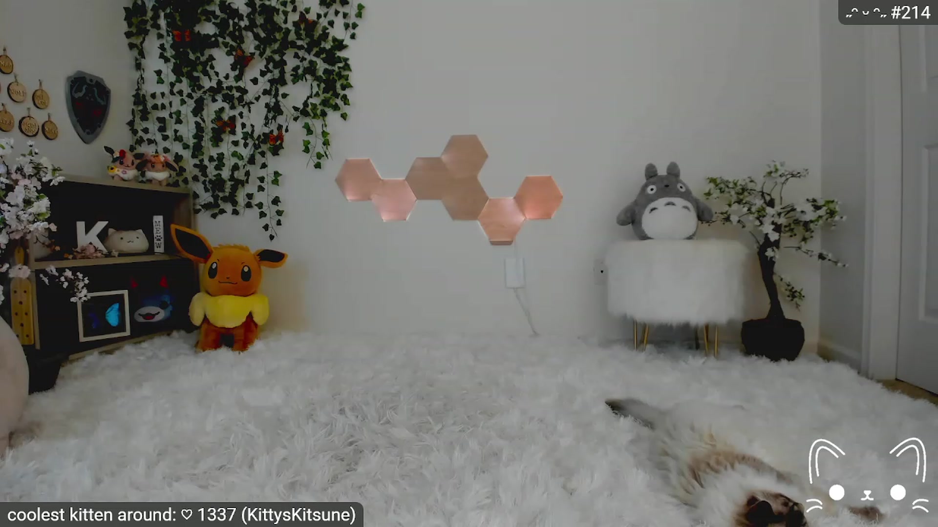 Gallery image thumbnail from Kitty's myfreecams stream on, 05/12/2023, 05:34 image 5 of 20