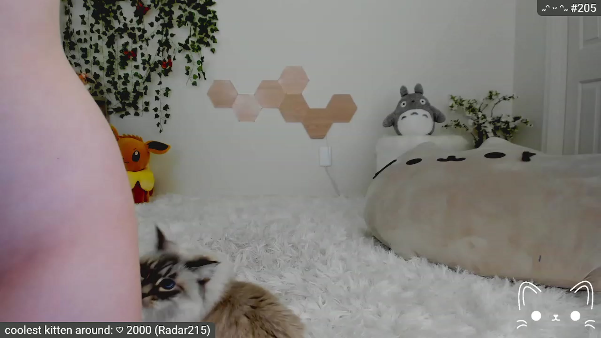 Gallery image thumbnail from Kitty's myfreecams stream on, 05/15/2023, 06:51 image 18 of 20