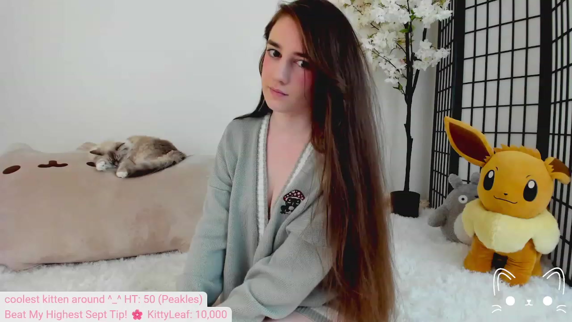 Gallery image thumbnail from Kitty's myfreecams stream on, 09/10/2023, 04:36 image 11 of 20