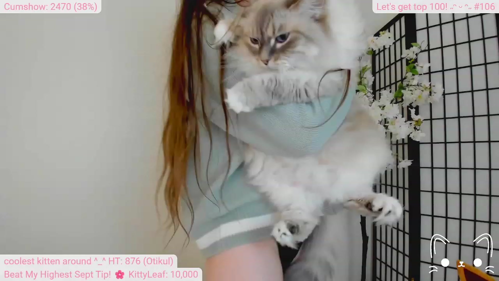 Gallery image thumbnail from Kitty's myfreecams stream on, 09/10/2023, 06:17 image 15 of 20