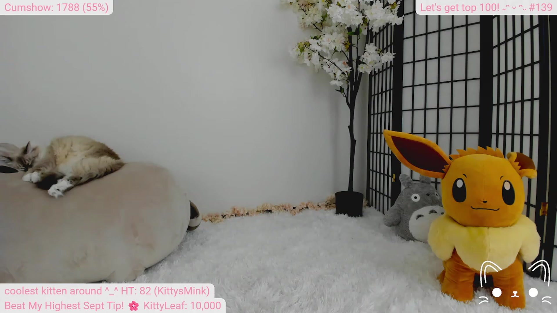 Gallery image thumbnail from Kitty's myfreecams stream on, 09/12/2023, 05:08 image 7 of 20
