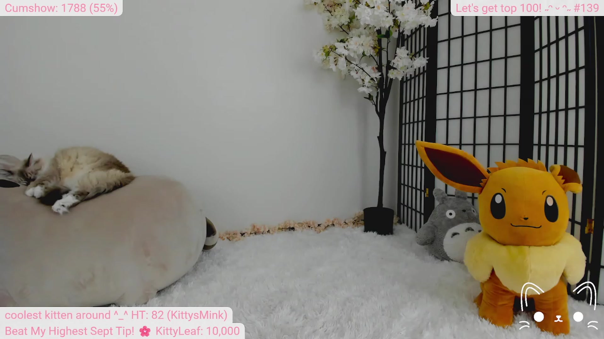 Gallery image thumbnail from Kitty's myfreecams stream on, 09/12/2023, 05:08 image 8 of 20