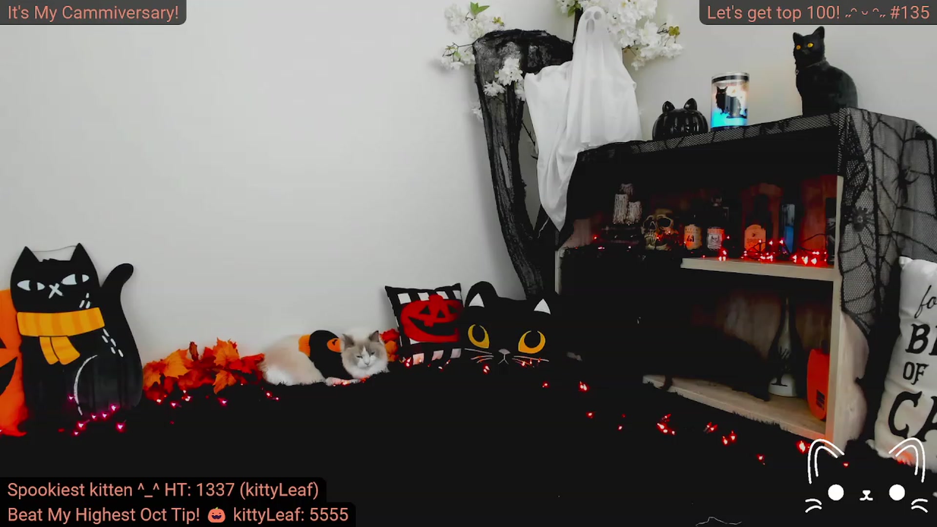 Gallery image thumbnail from Kitty's myfreecams stream on, 10/03/2023, 04:24 image 15 of 20