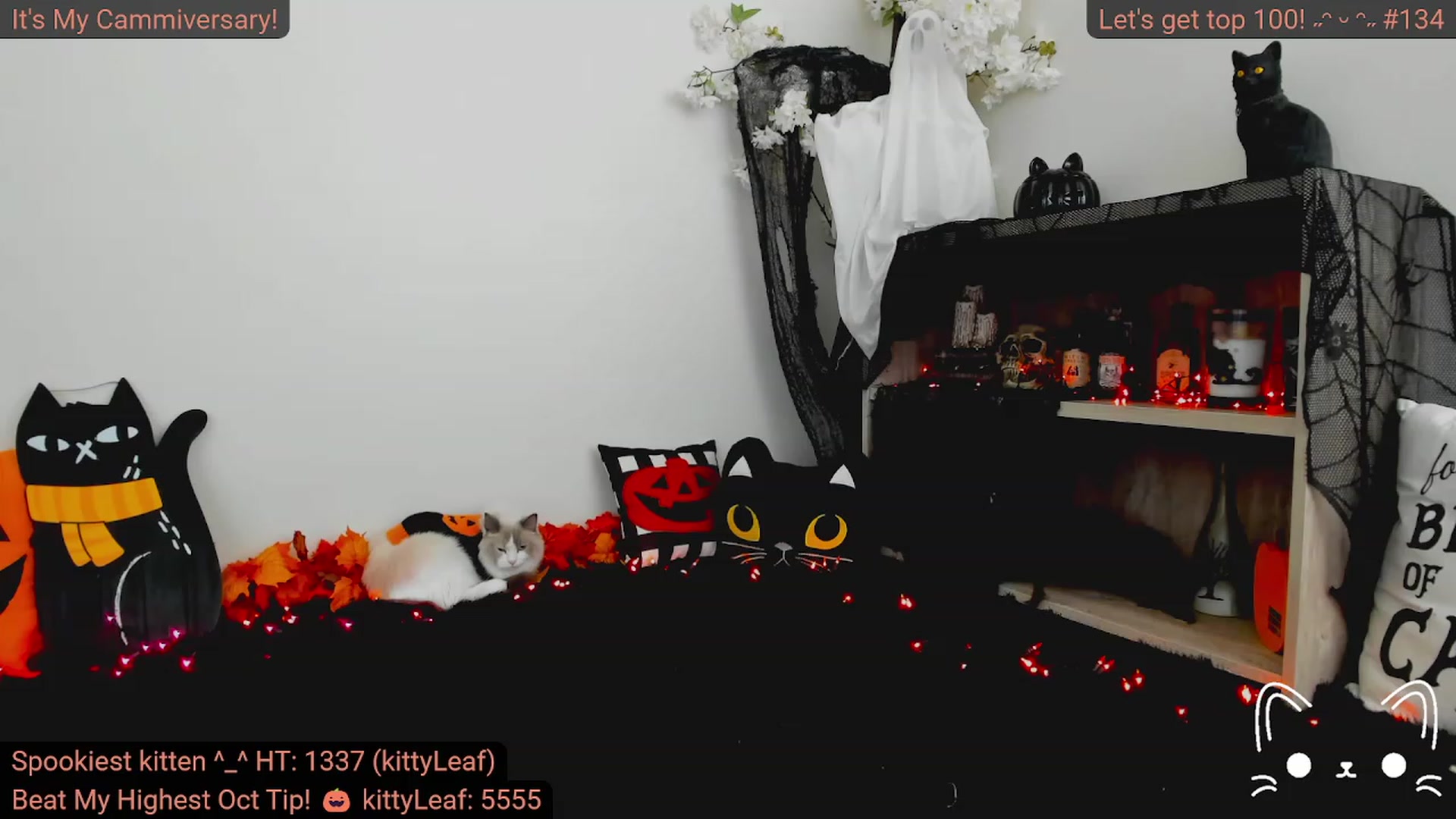Gallery image thumbnail from Kitty's myfreecams stream on, 10/03/2023, 04:24 image 9 of 20