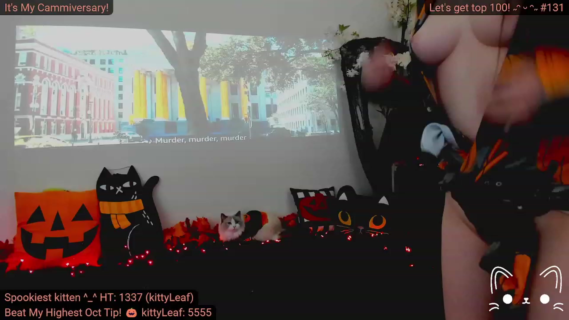 Gallery image thumbnail from Kitty's myfreecams stream on, 10/03/2023, 06:02 image 7 of 20