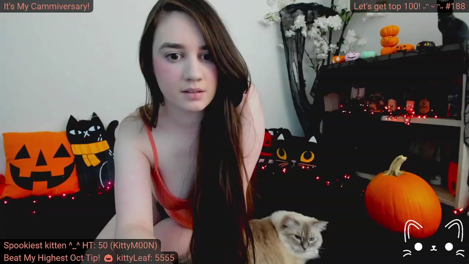 Gallery image thumbnail from Kitty's myfreecams stream on, 10/11/2023, 04:18 image 11 of 20
