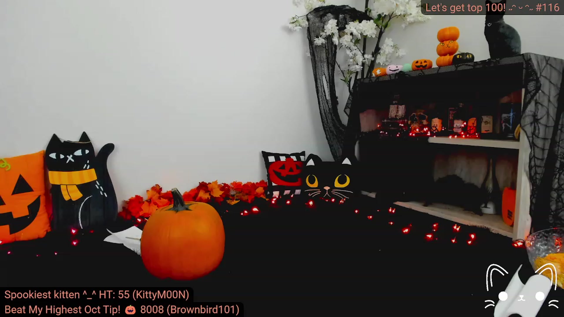 Gallery image thumbnail from Kitty's myfreecams stream on, 10/22/2023, 05:38 image 1 of 20