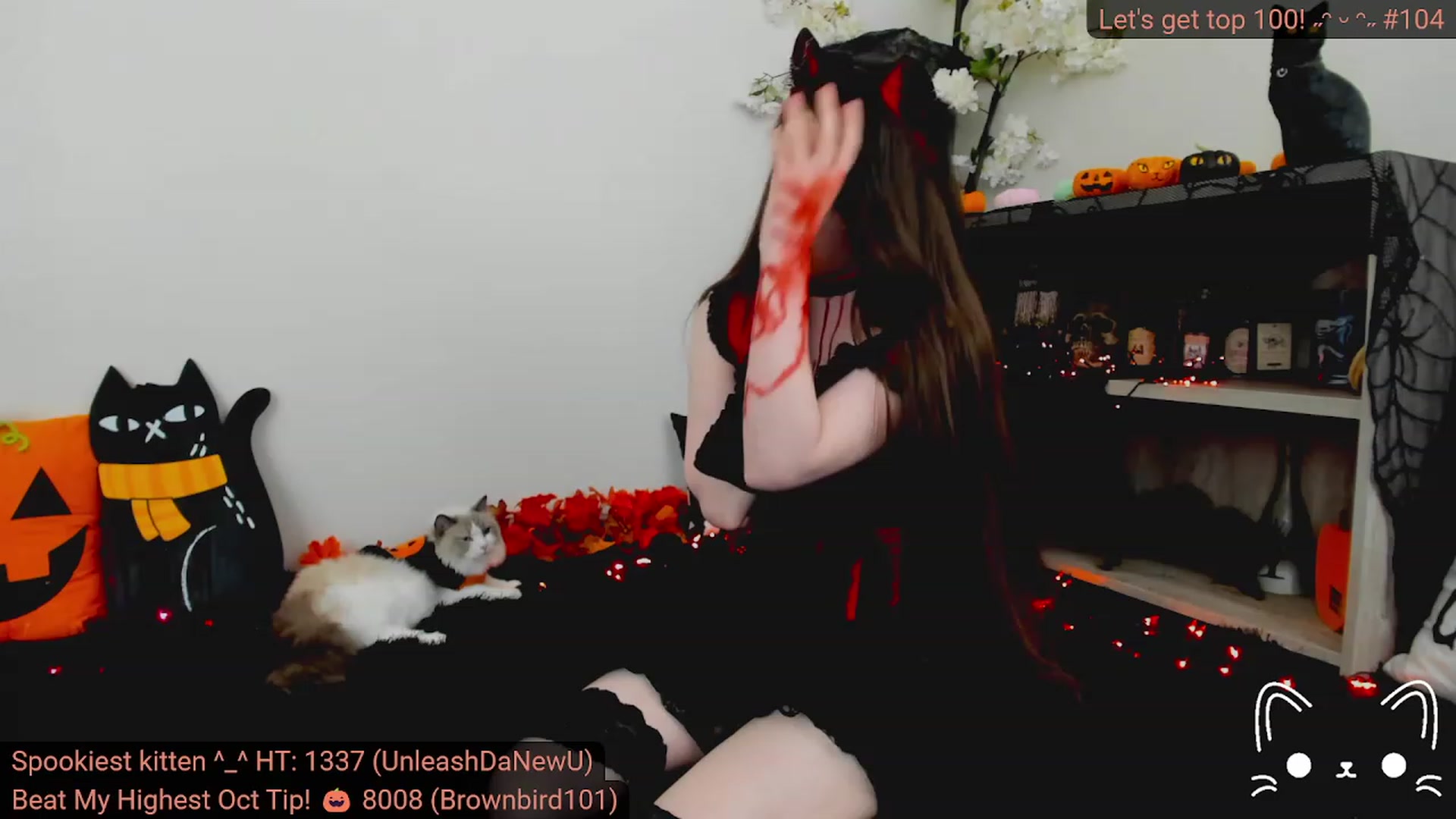Gallery image thumbnail from Kitty's myfreecams stream on, 11/01/2023, 05:53 image 12 of 20
