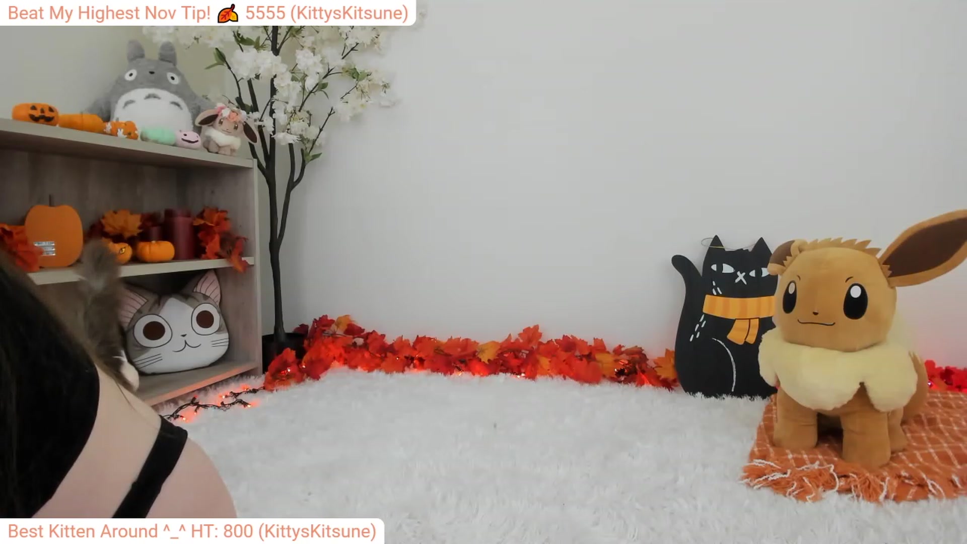 Gallery image thumbnail from Kitty's myfreecams stream on, 11/12/2023, 06:08 image 13 of 20