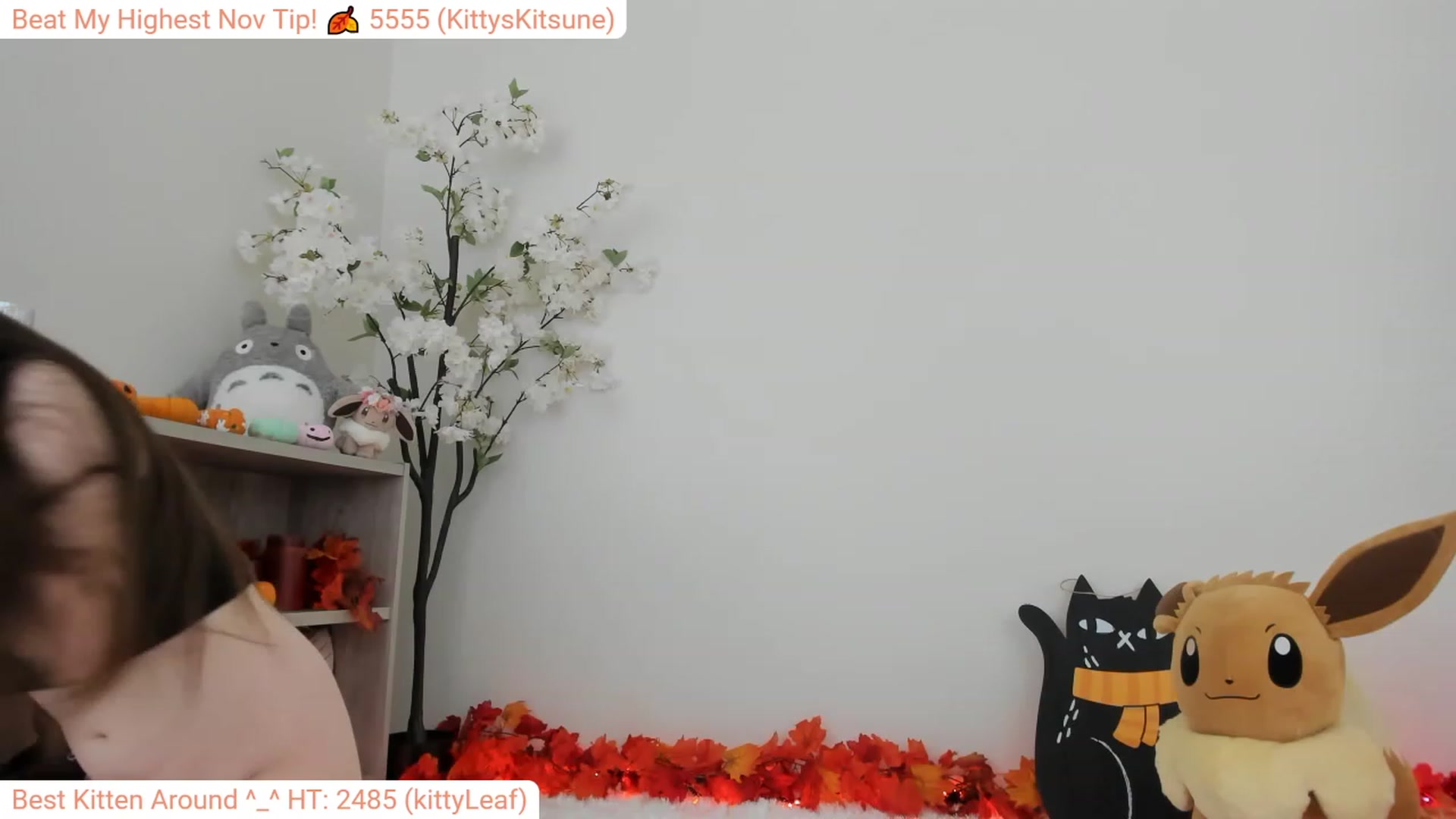 Gallery image thumbnail from Kitty's myfreecams stream on, 11/12/2023, 07:56 image 7 of 20