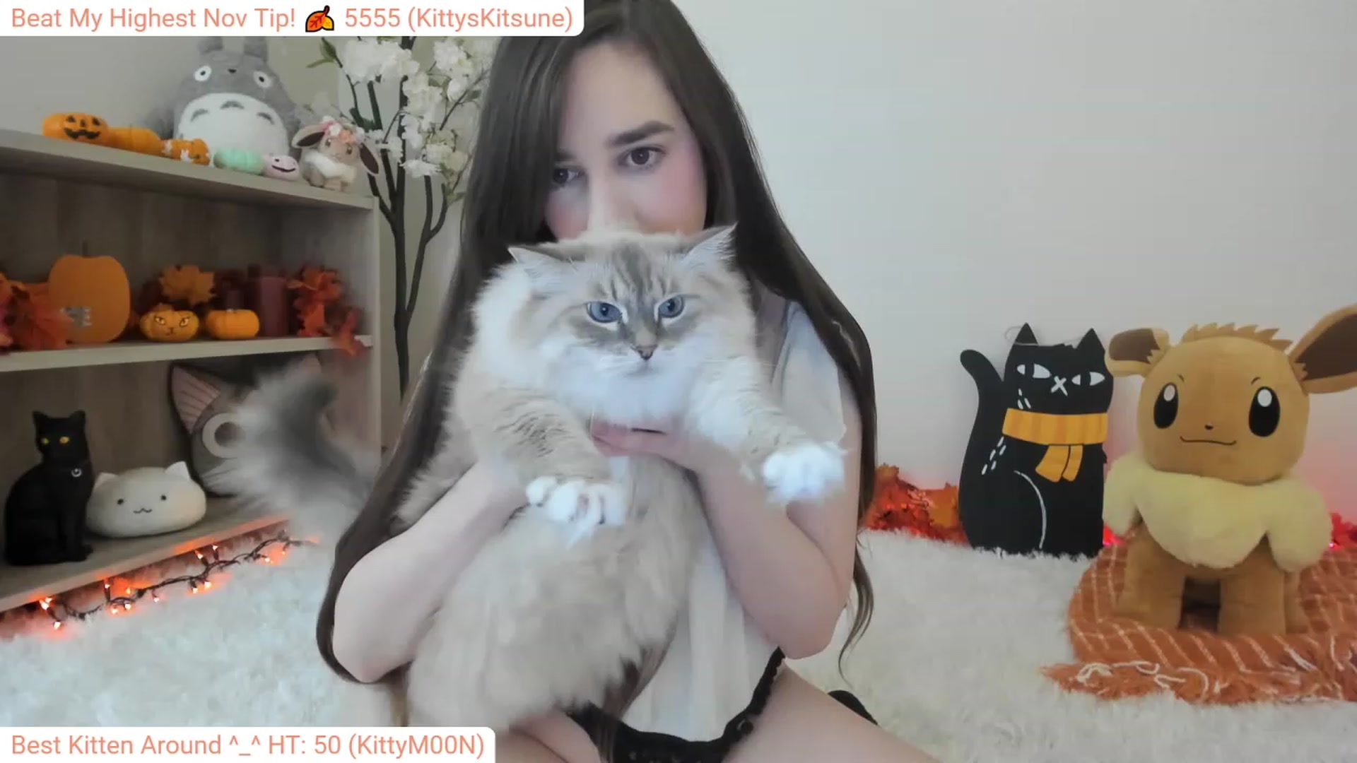 Gallery image thumbnail from Kitty's myfreecams stream on, 11/18/2023, 05:02 image 17 of 20
