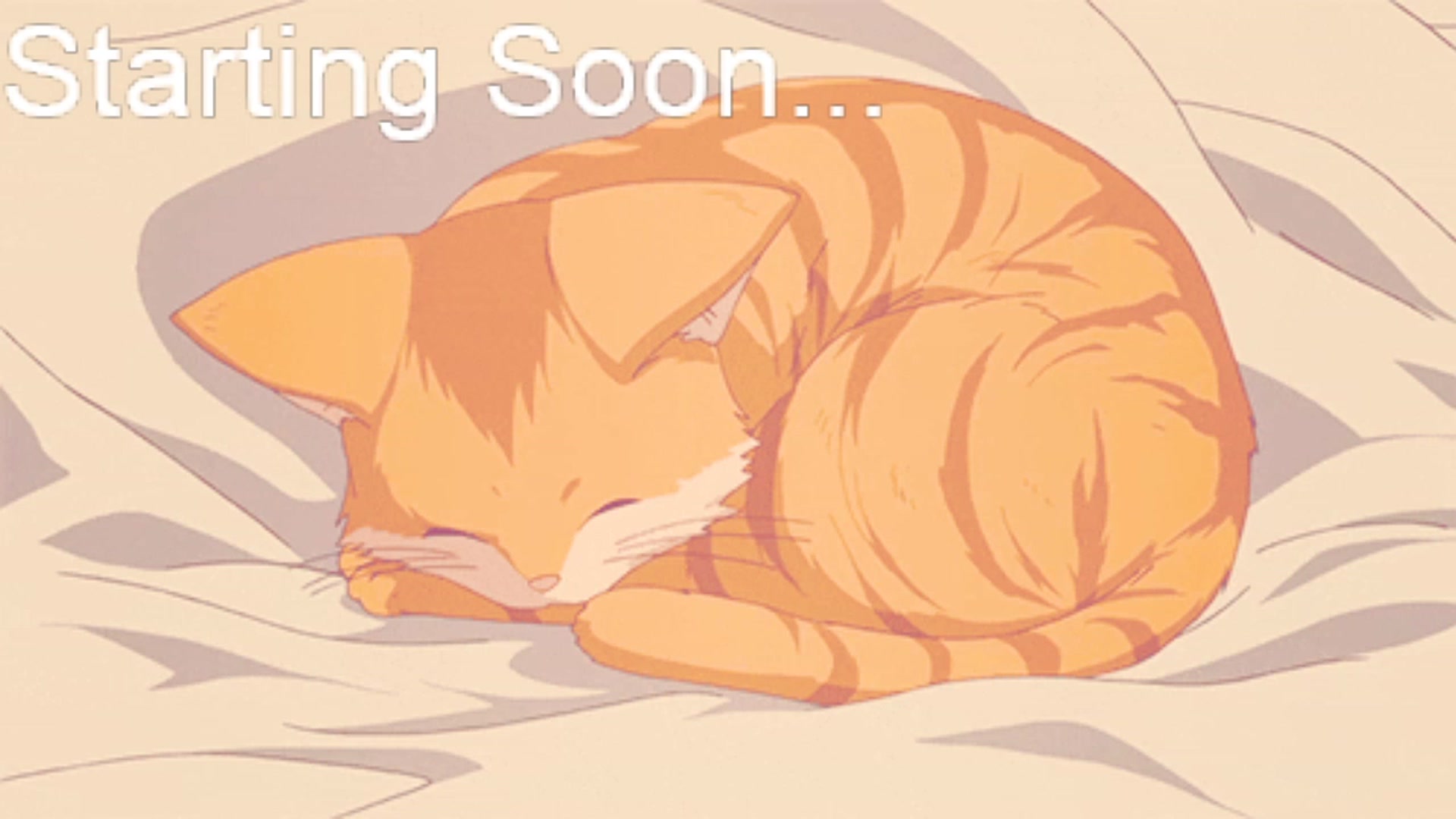Gallery image thumbnail from Kitty's myfreecams stream on, 11/18/2023, 05:02 image 2 of 20