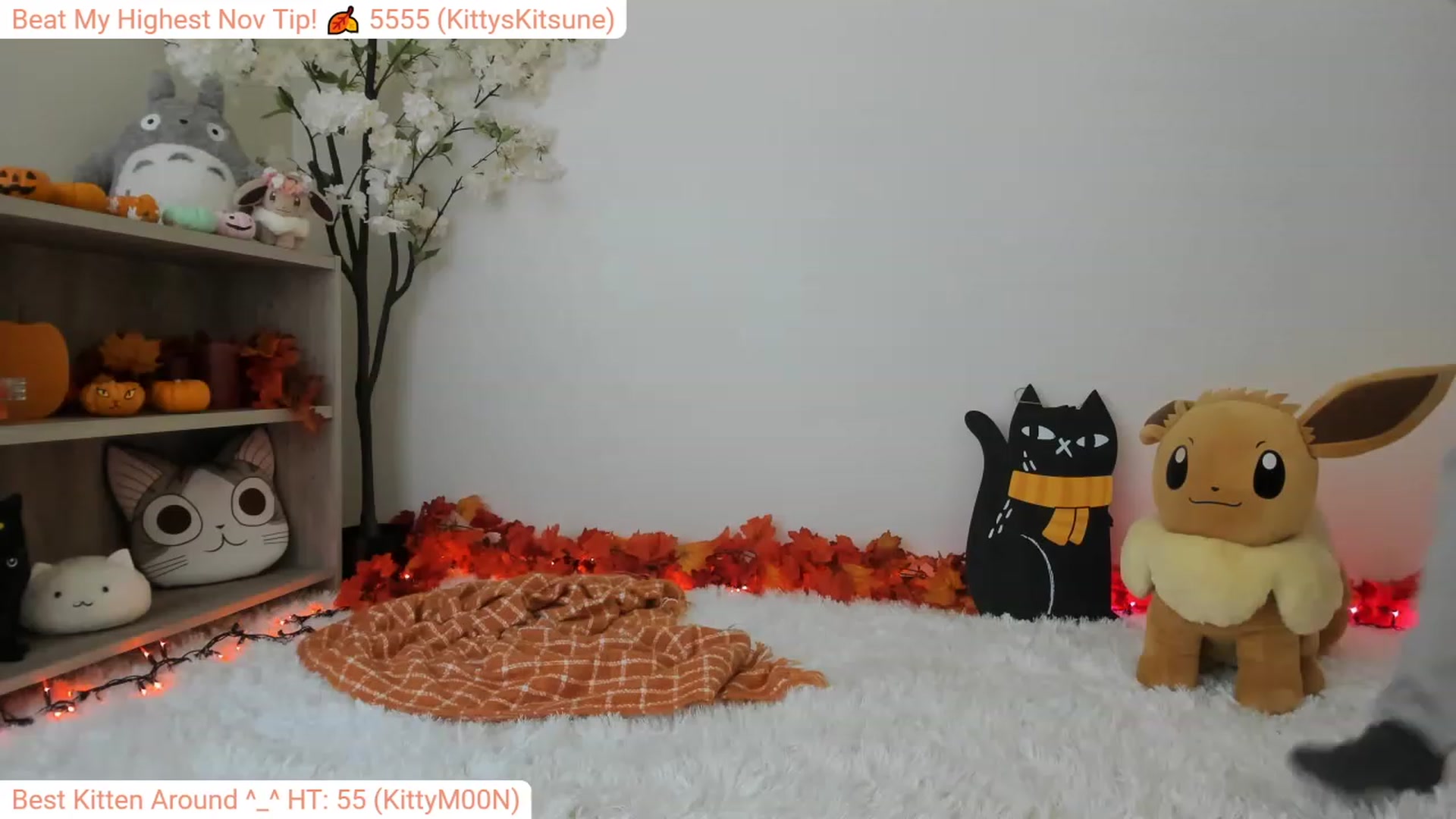 Gallery image thumbnail from Kitty's myfreecams stream on, 11/26/2023, 06:45 image 1 of 20