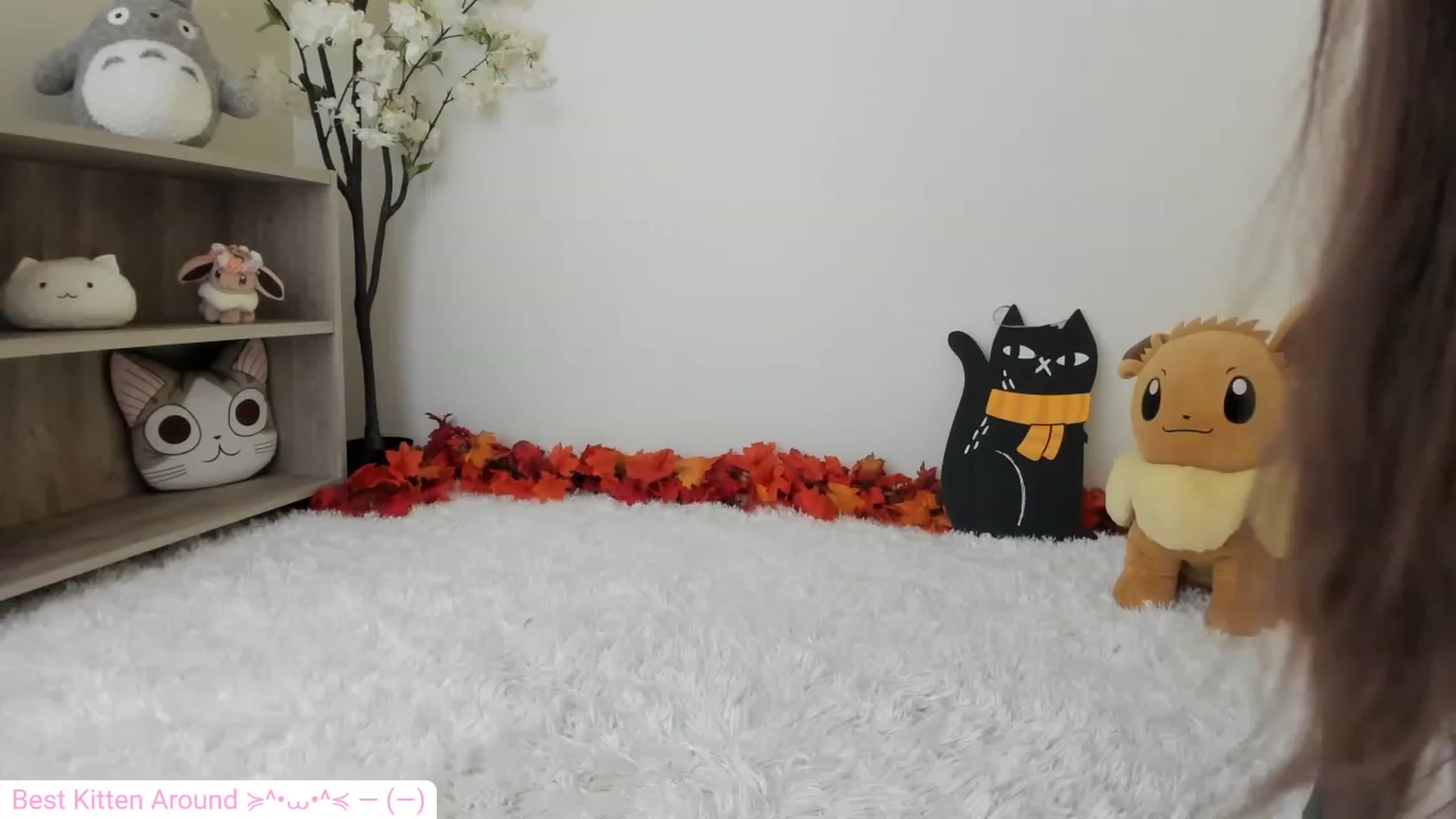 Gallery image thumbnail from Kitty's myfreecams stream on, 12/03/2023, 08:21 image 1 of 20