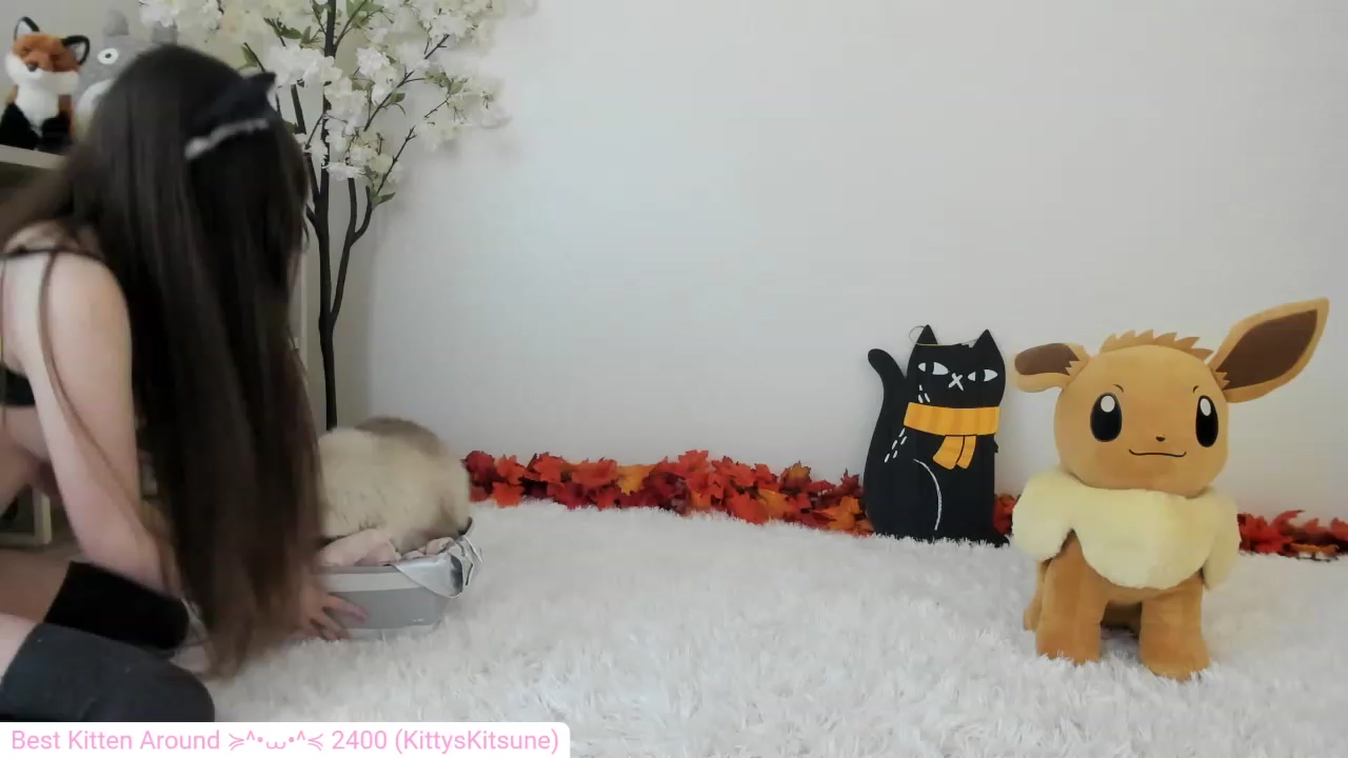 Gallery image thumbnail from Kitty's myfreecams stream on, 12/06/2023, 04:26 image 14 of 20