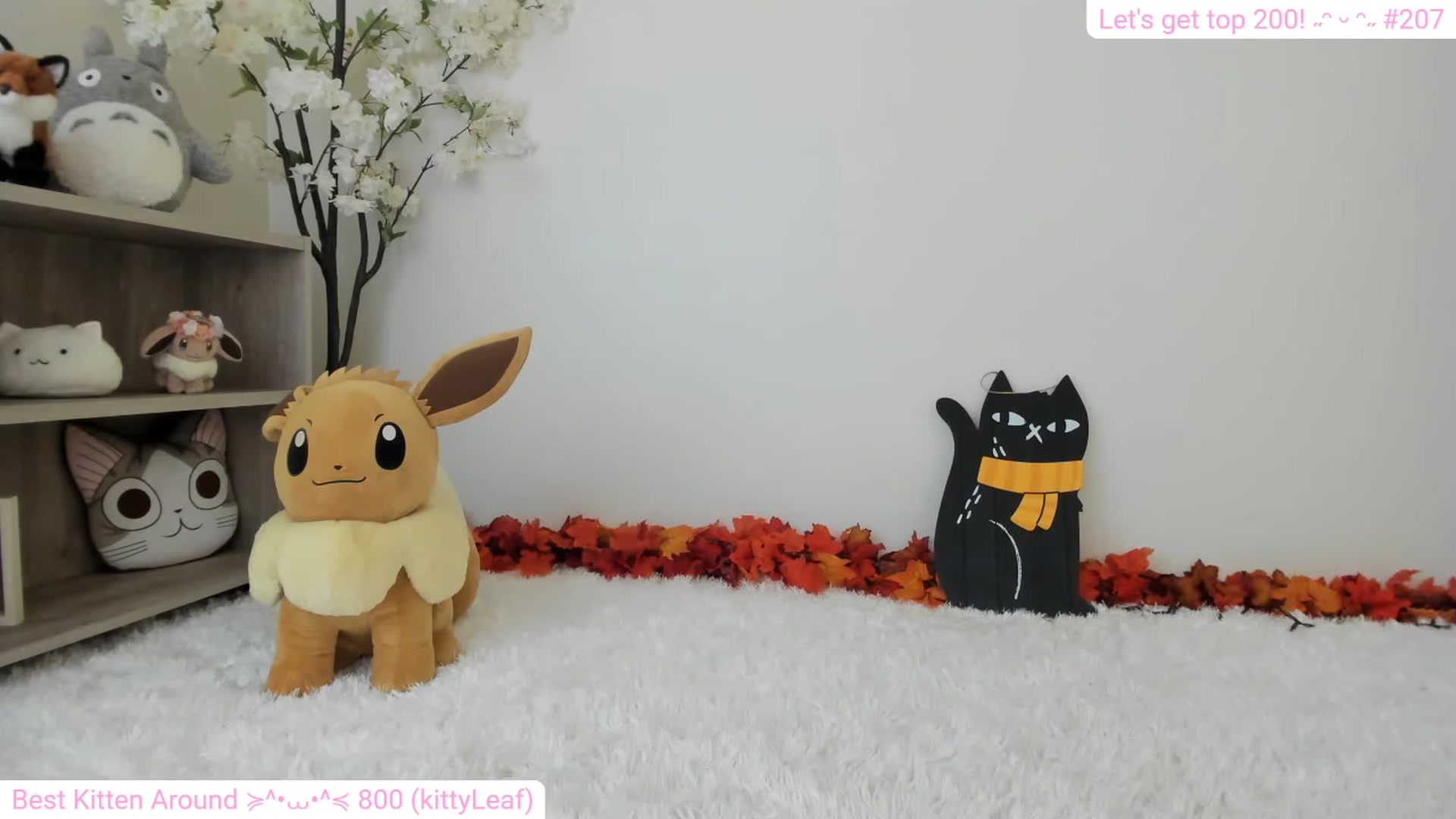 Gallery image thumbnail from Kitty's myfreecams stream on, 12/09/2023, 07:54 image 11 of 20