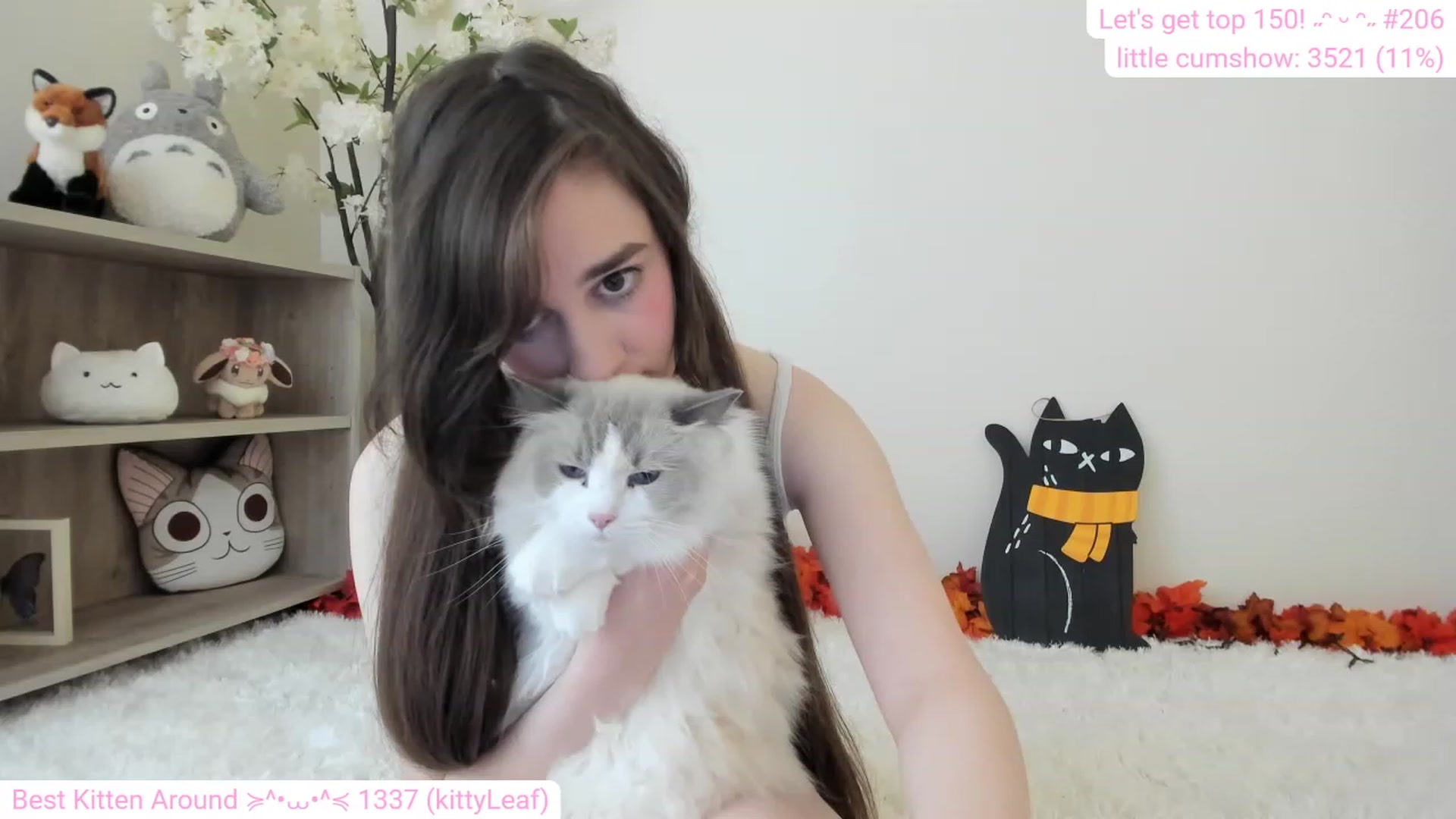 Gallery image thumbnail from Kitty's myfreecams stream on, 12/12/2023, 06:53 image 17 of 20