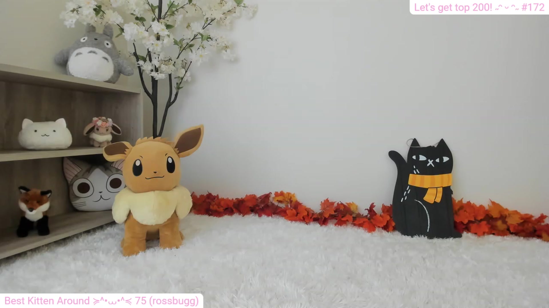 Gallery image thumbnail from Kitty's myfreecams stream on, 12/15/2023, 08:10 image 5 of 20