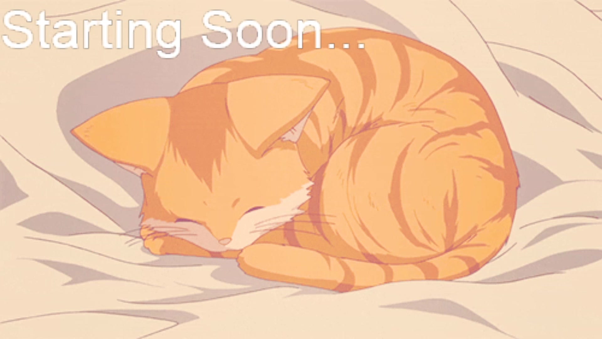 Gallery image thumbnail from Kitty's myfreecams stream on, 12/16/2023, 06:15 image 1 of 20