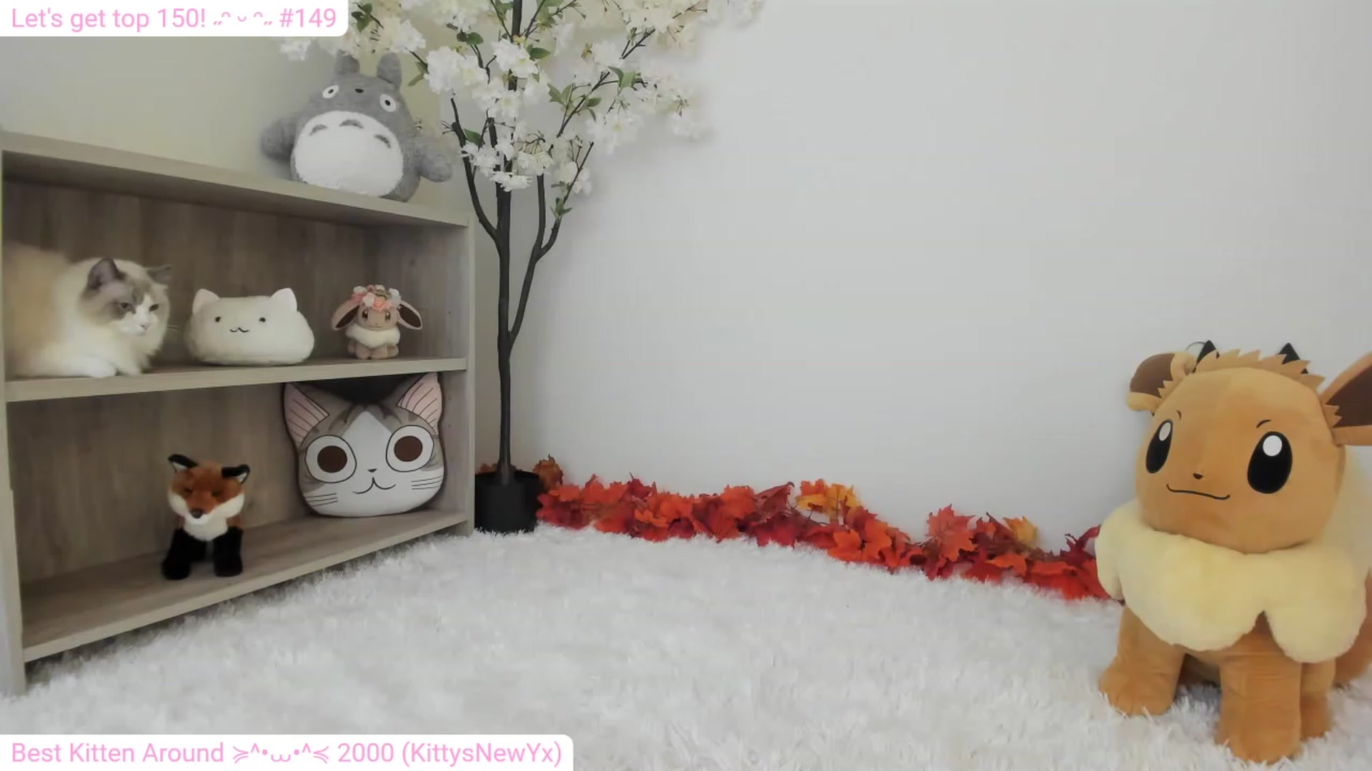 Gallery image thumbnail from Kitty's myfreecams stream on, 12/16/2023, 07:45 image 11 of 20
