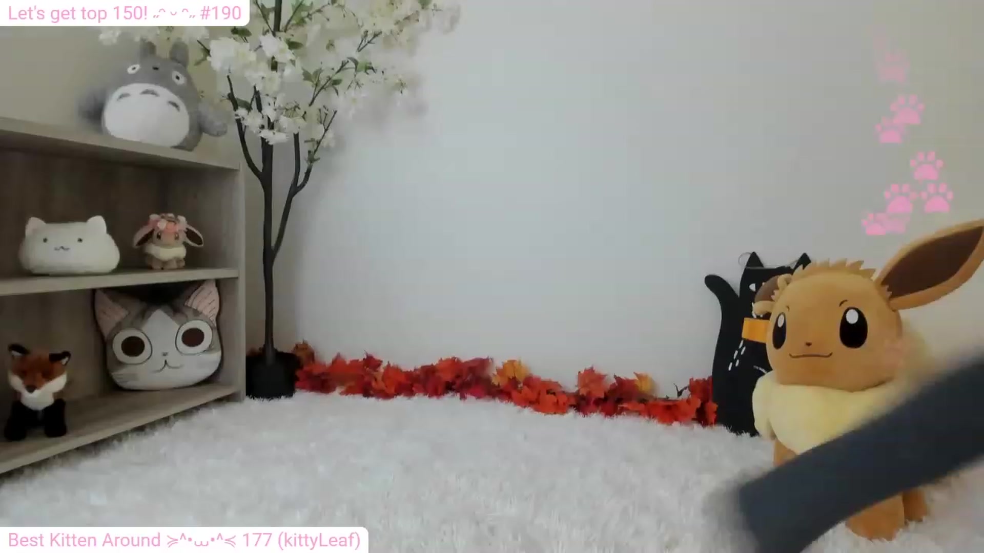 Gallery image thumbnail from Kitty's myfreecams stream on, 12/19/2023, 06:38 image 12 of 20